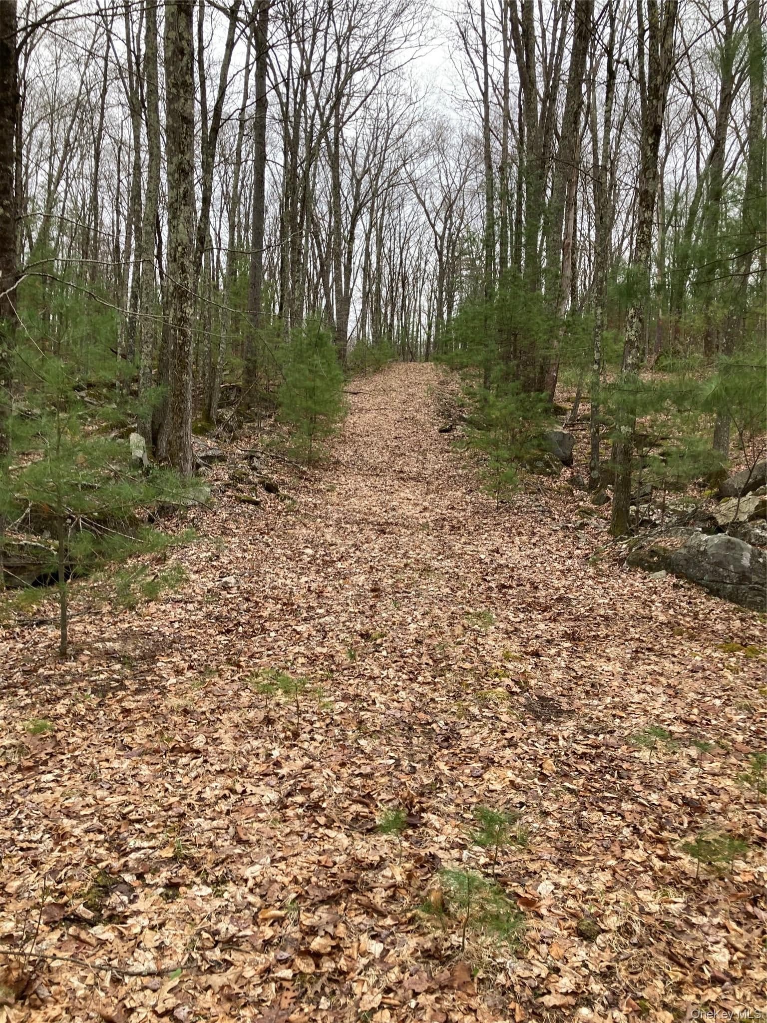 Plank Road Forestburg New York thumbnail 9