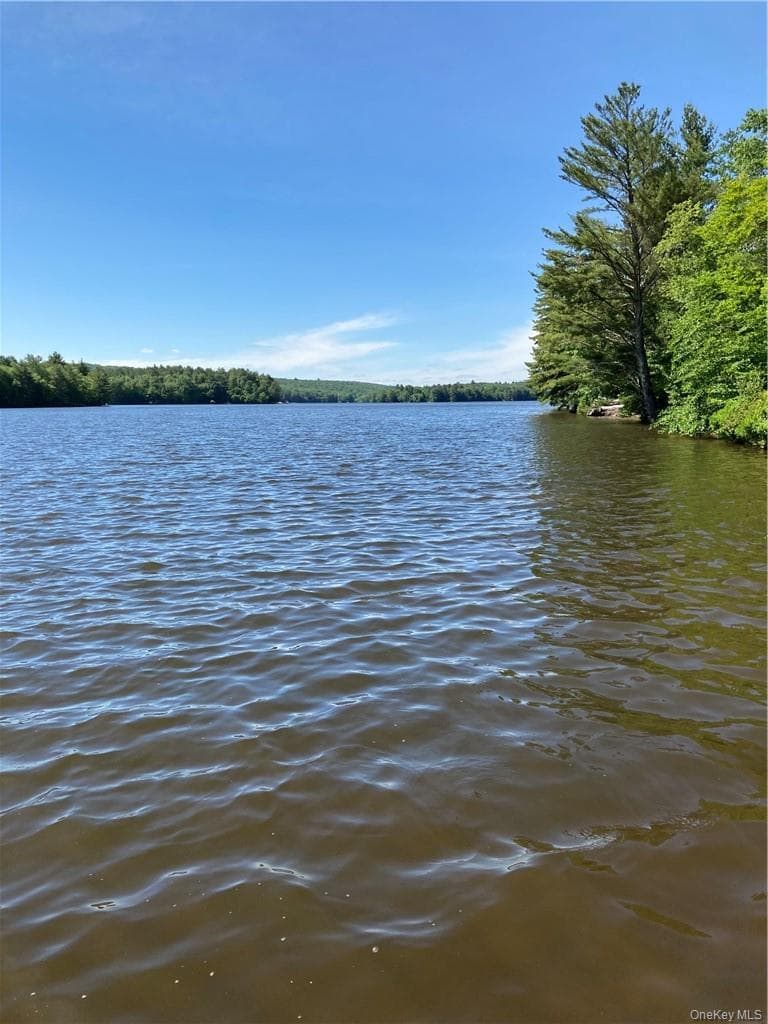 Plank Road Forestburg New York thumbnail 2