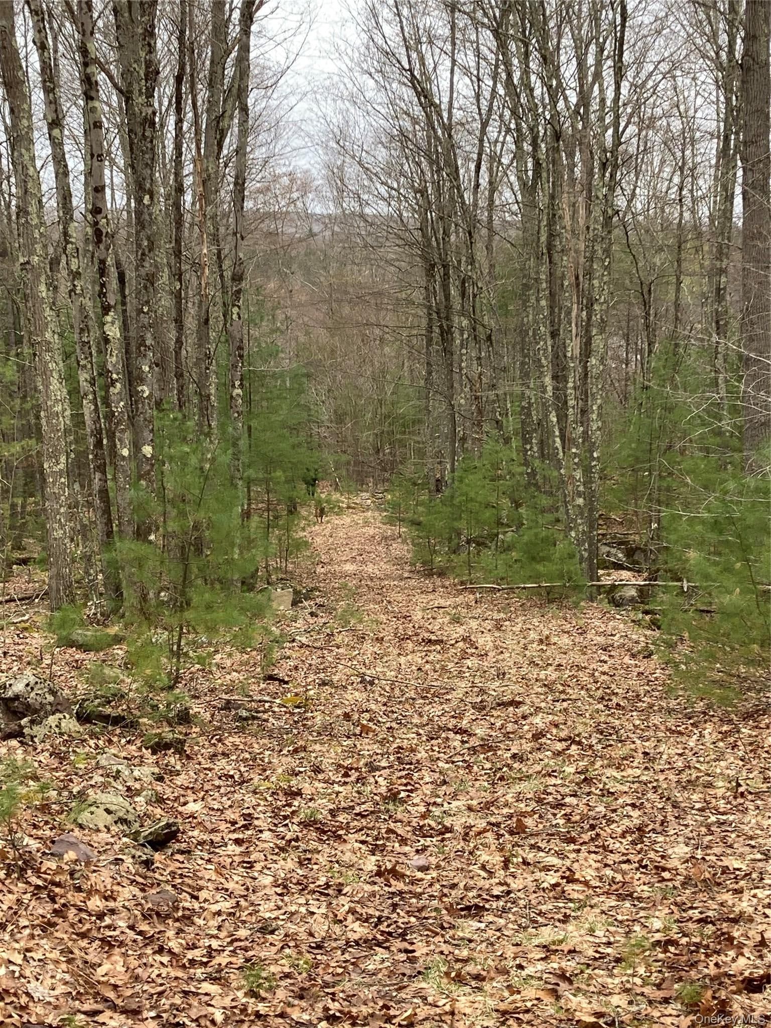 Plank Road Forestburg New York thumbnail 12