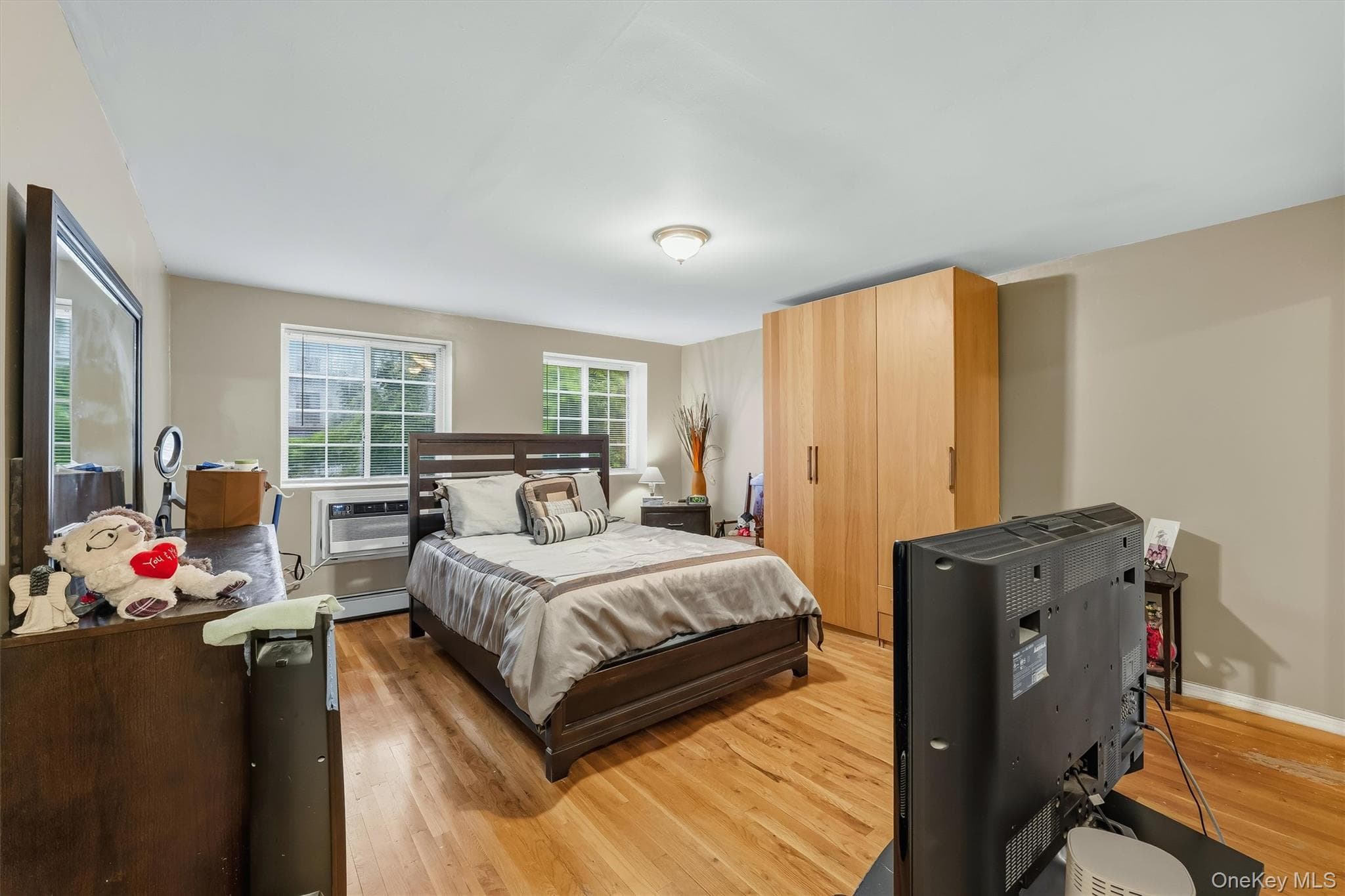 717 E 215th Street thumbnail 20
