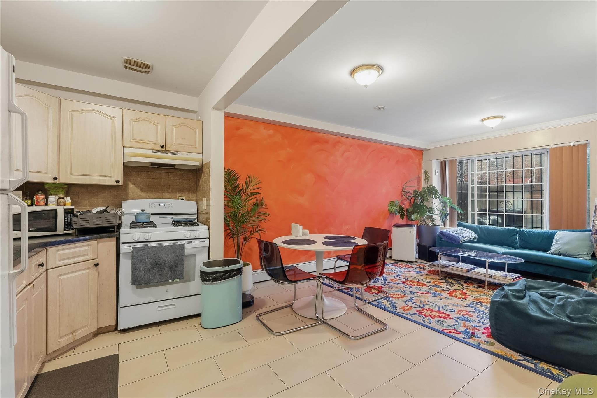 717 E 215th Street thumbnail 36