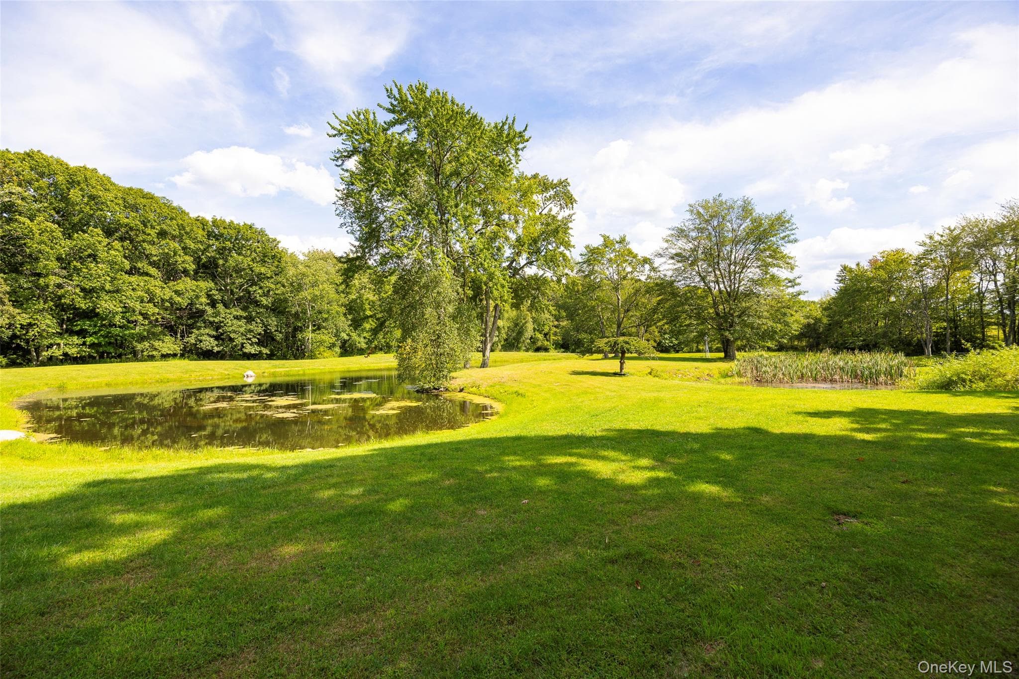89 Deer Pond Road thumbnail 39