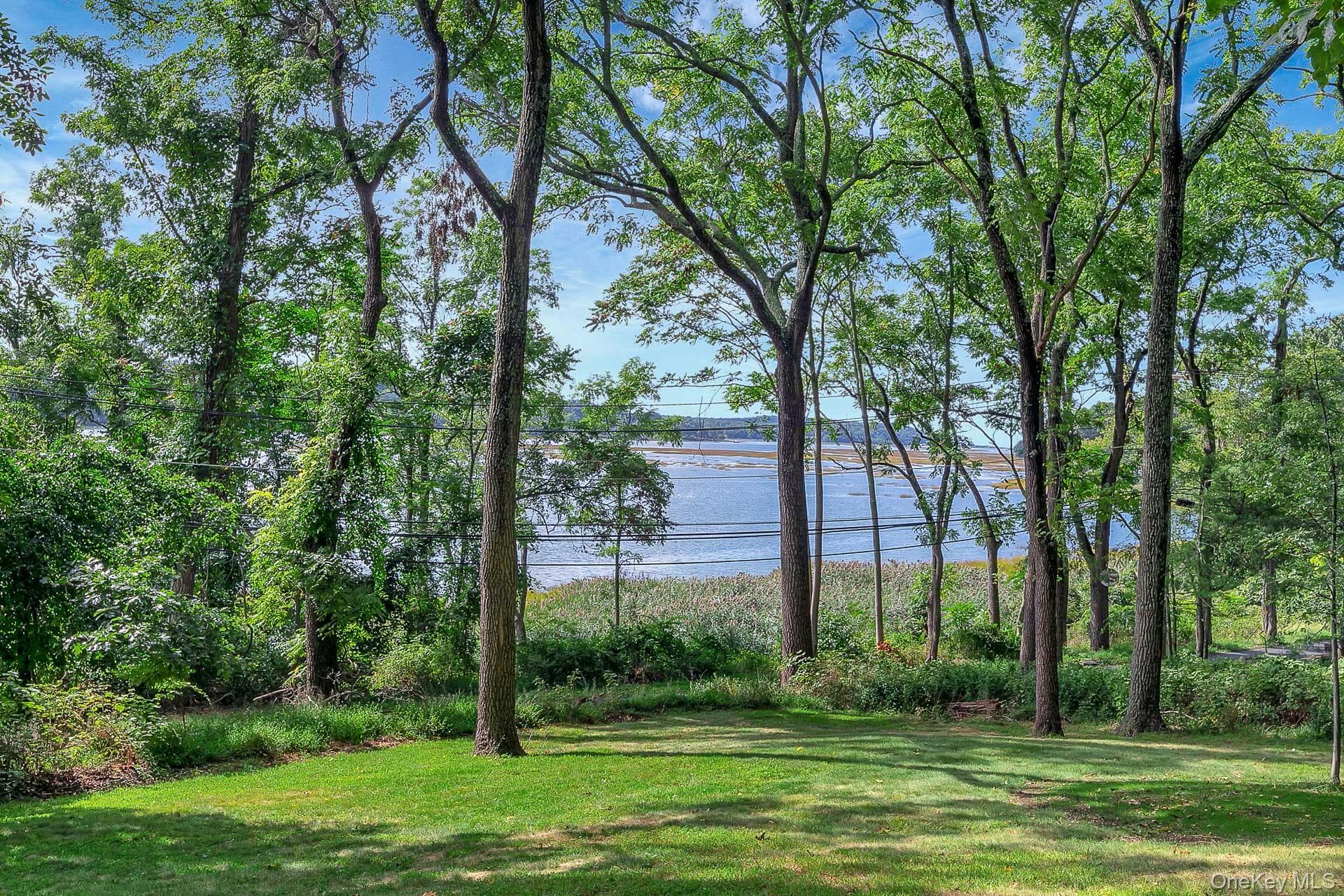 451 River Road thumbnail 27