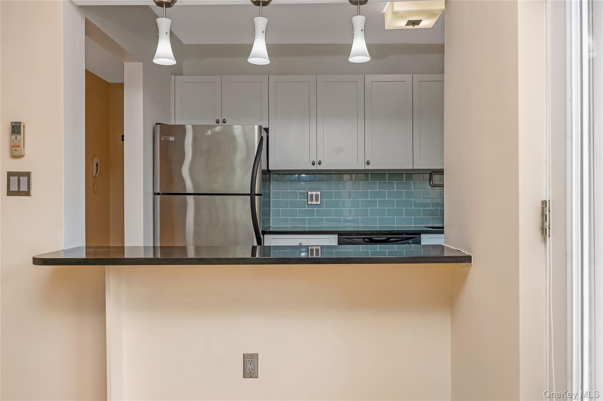 251 W Broadway Unit: 306 thumbnail 9