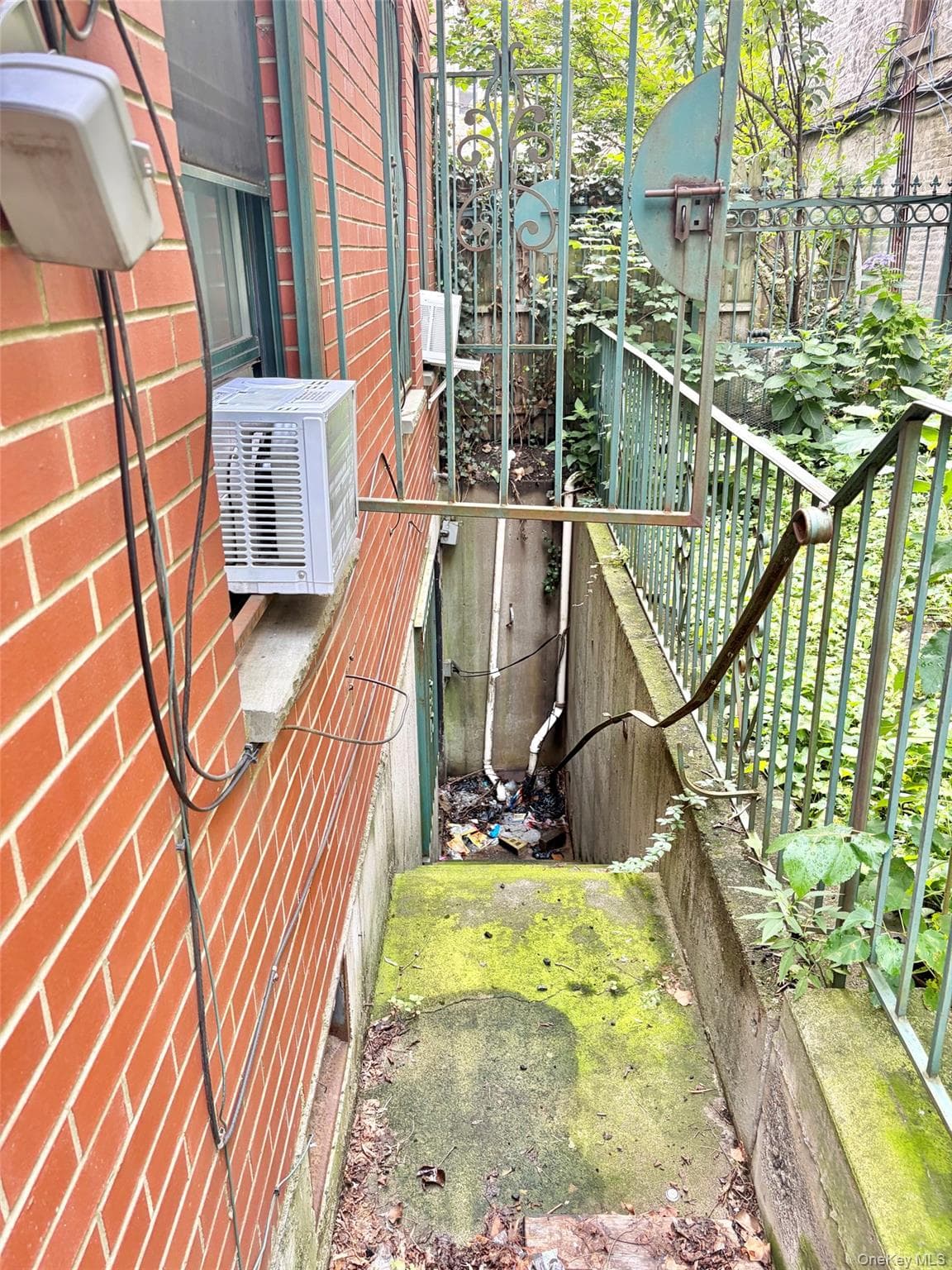 498 Classon Avenue thumbnail 25