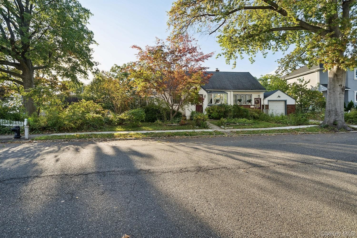 64 Collfield Avenue thumbnail 3