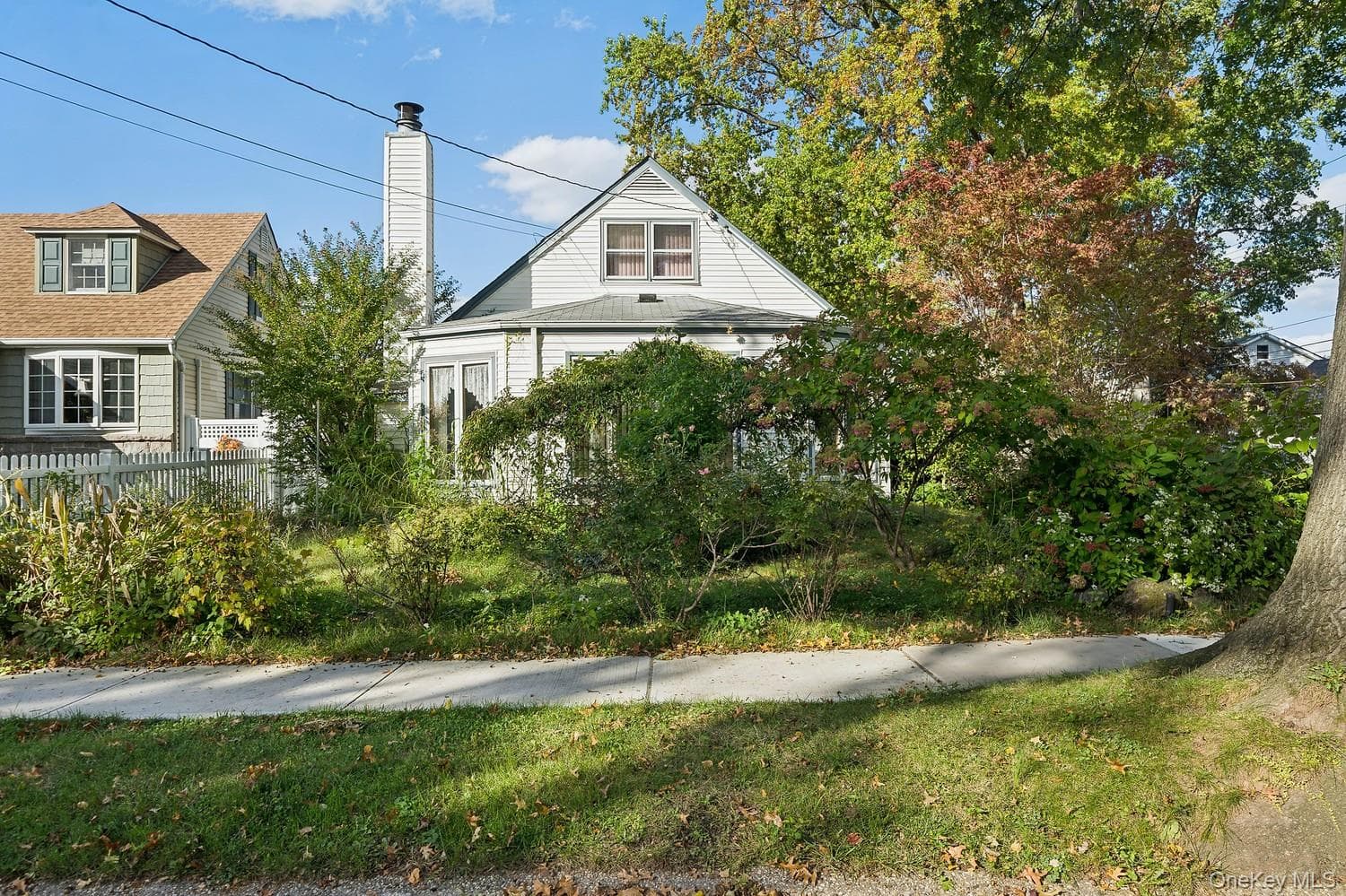 64 Collfield Avenue thumbnail 8