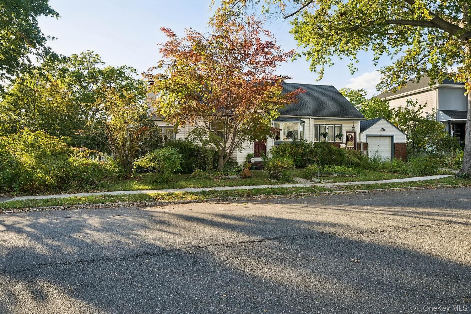 64 Collfield Avenue thumbnail 6