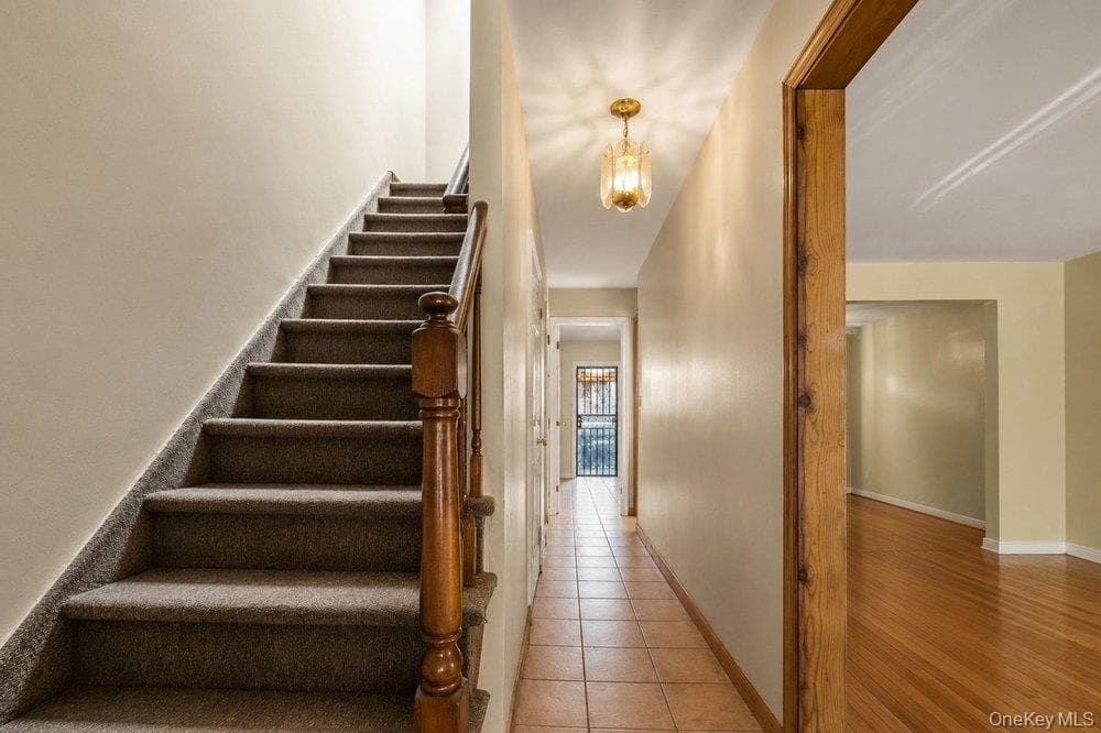 868 E 216th Street thumbnail 4