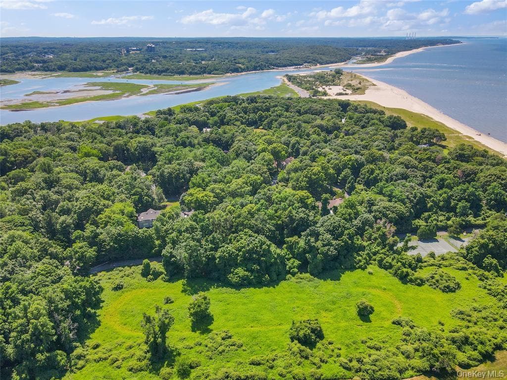 Boney Lane thumbnail 6