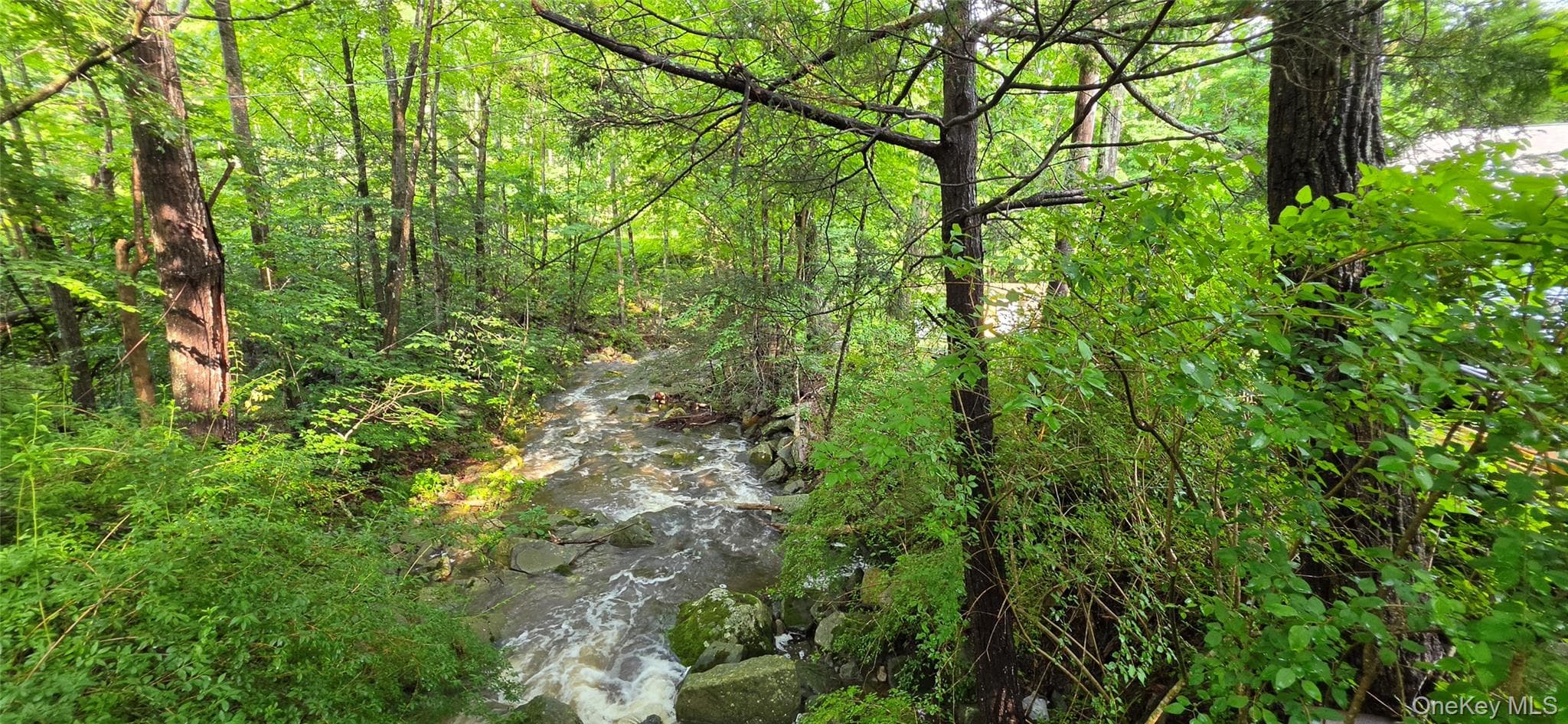 623 Wurtsboro Mtn Road thumbnail 30