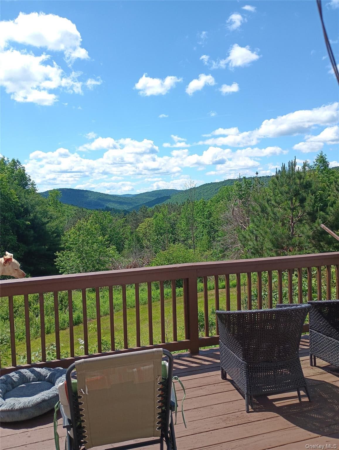 4323 Gregory Hollow Road thumbnail 2