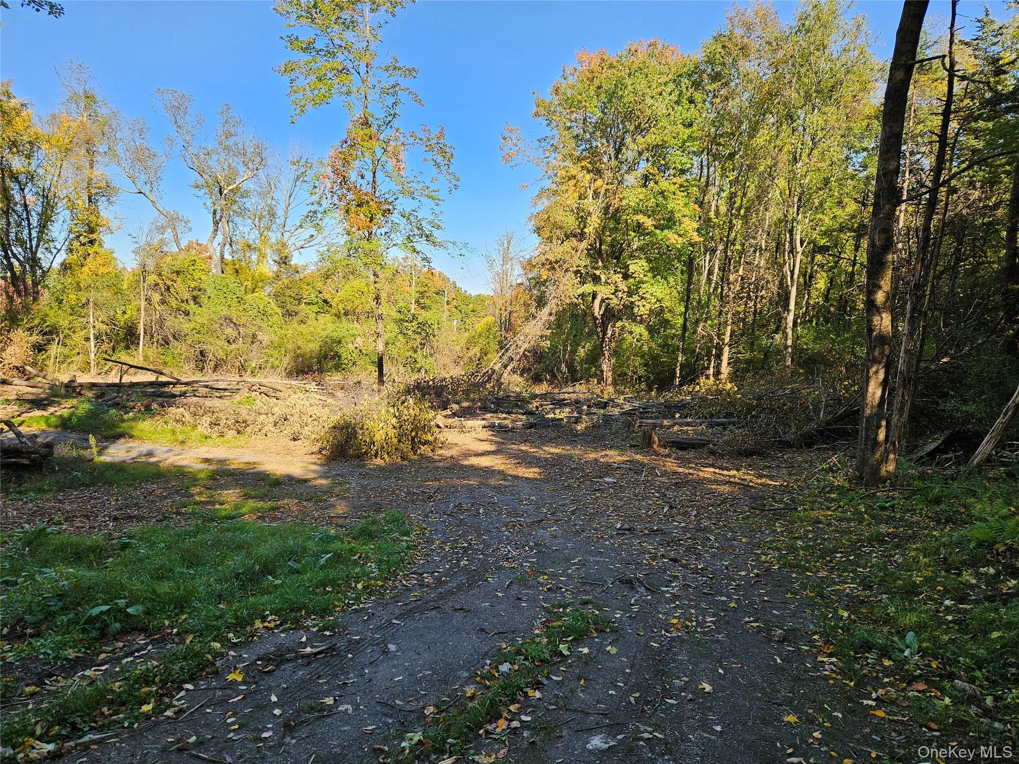 Halls Corners Road thumbnail 5