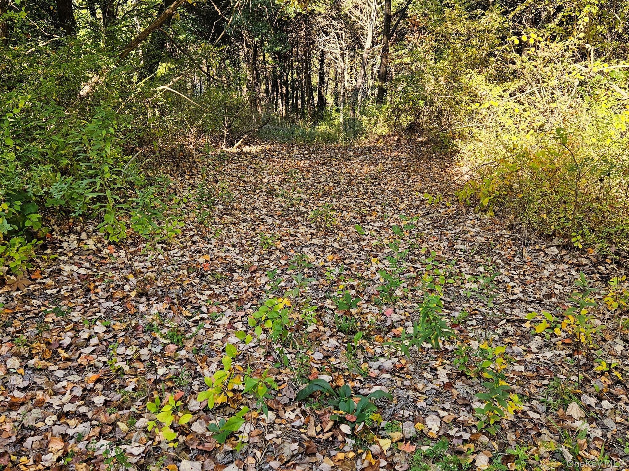Halls Corners Road thumbnail 6