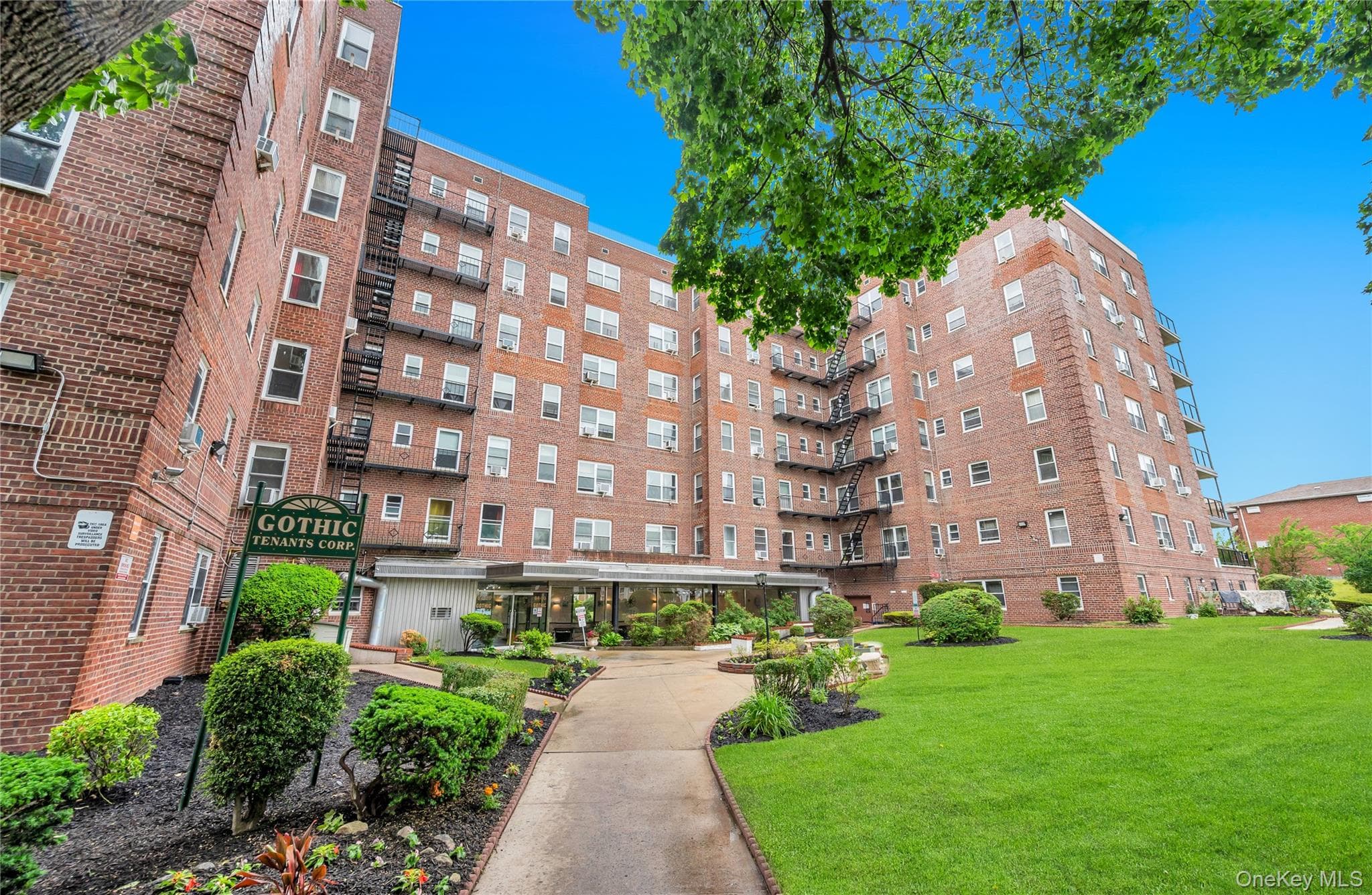 84-50 169th Street Unit: 410 thumbnail 3