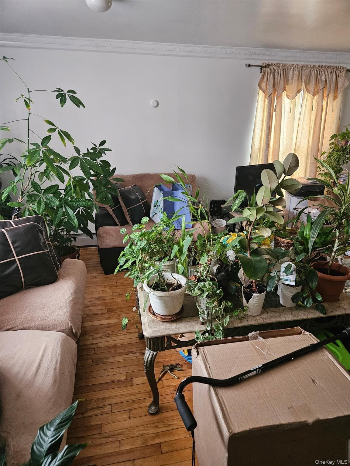 484 Beach 44th Street thumbnail 4