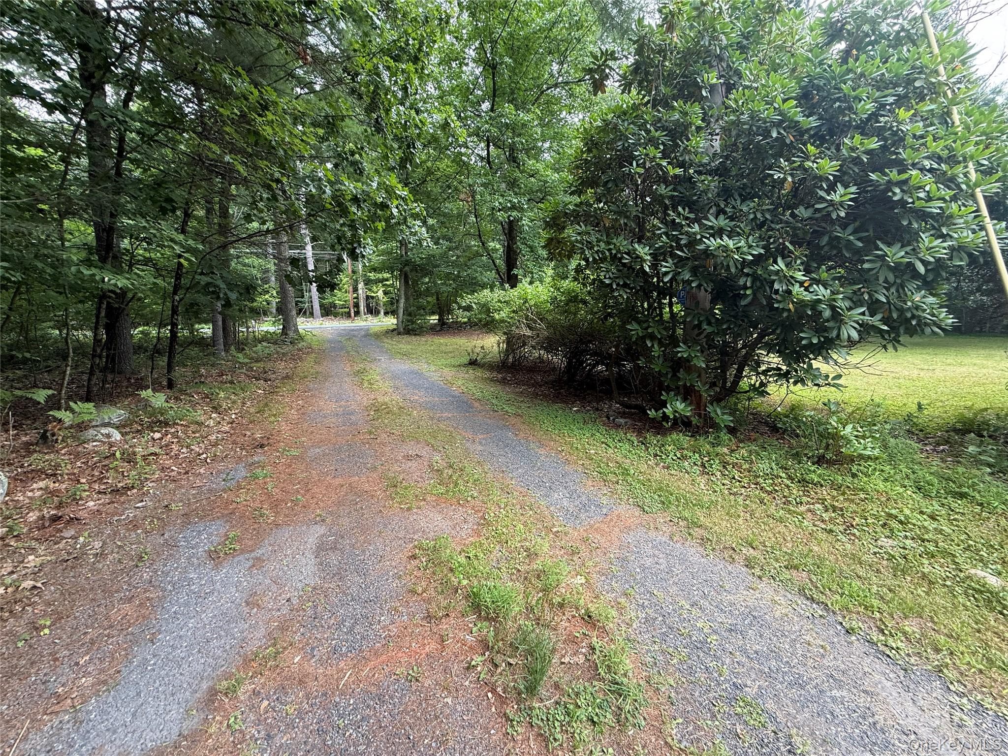 61 W Peenpack Trail thumbnail 4