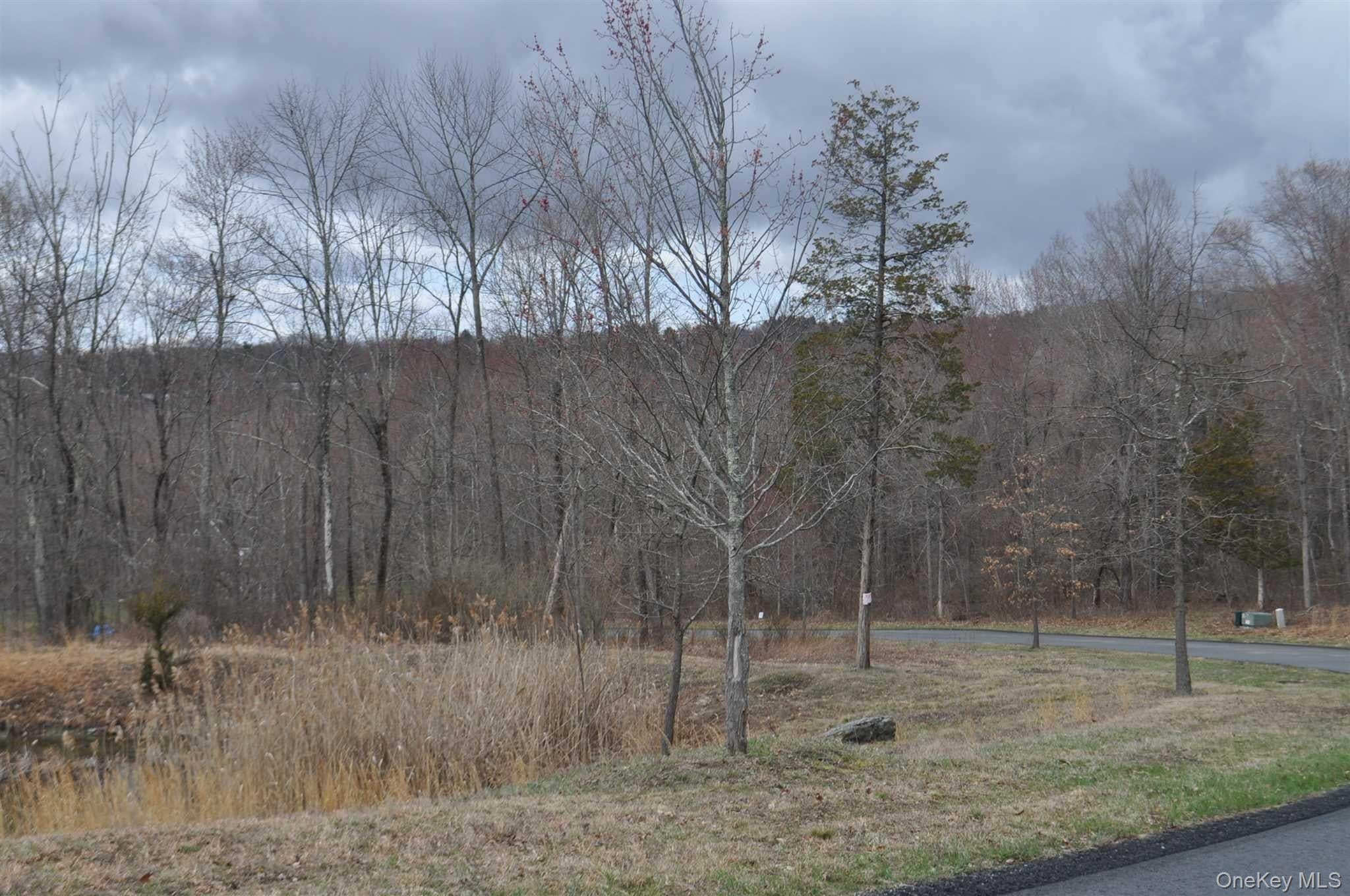 Stonecrest Lot #18 Court thumbnail 6