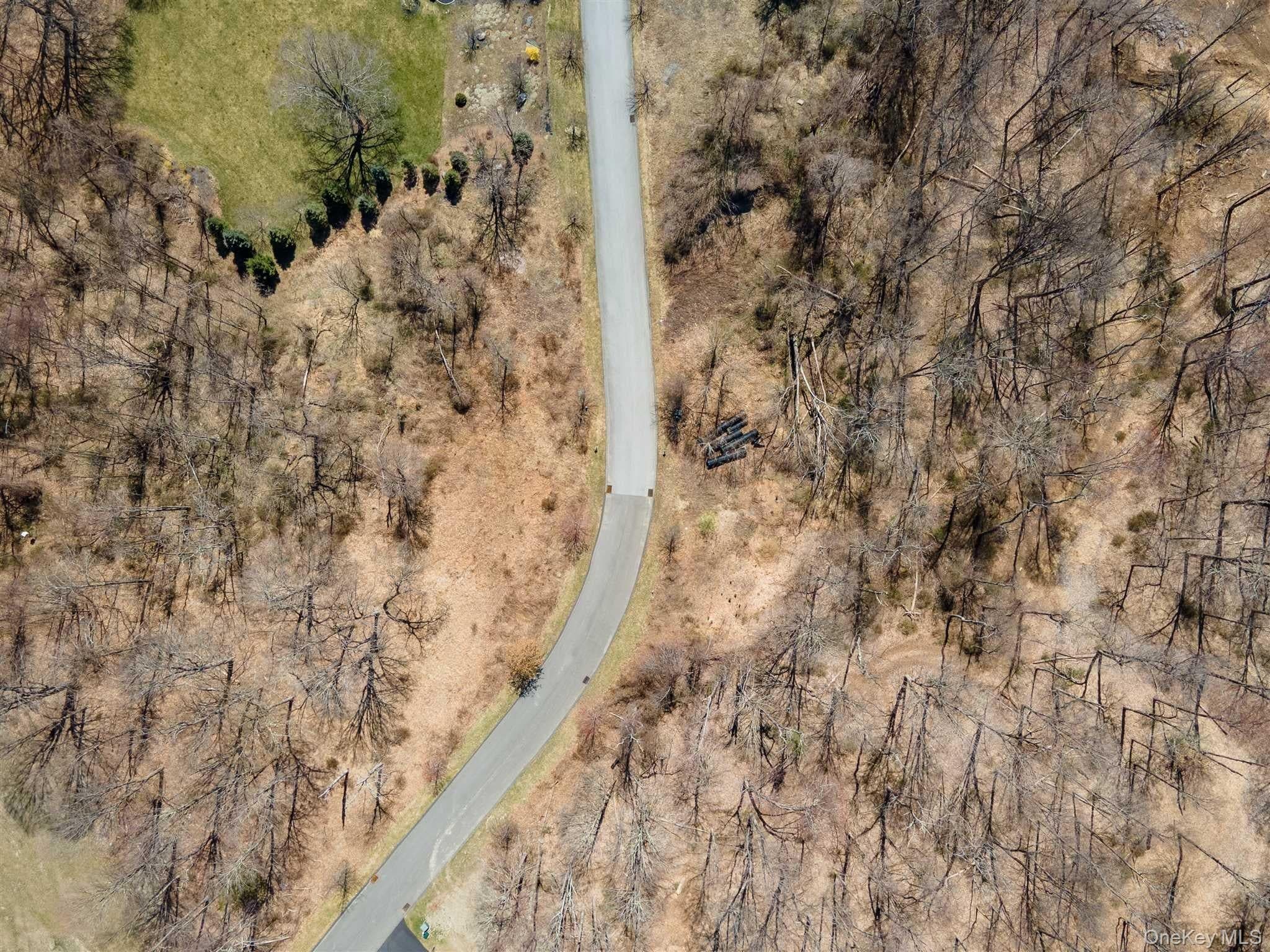 Stonecrest Lot #18 Court thumbnail 9