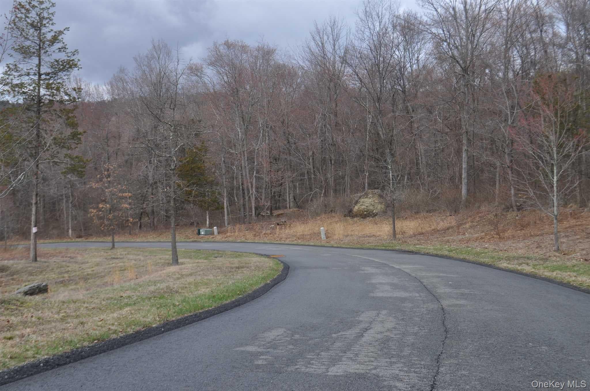 Stonecrest Lot #18 Court thumbnail 4