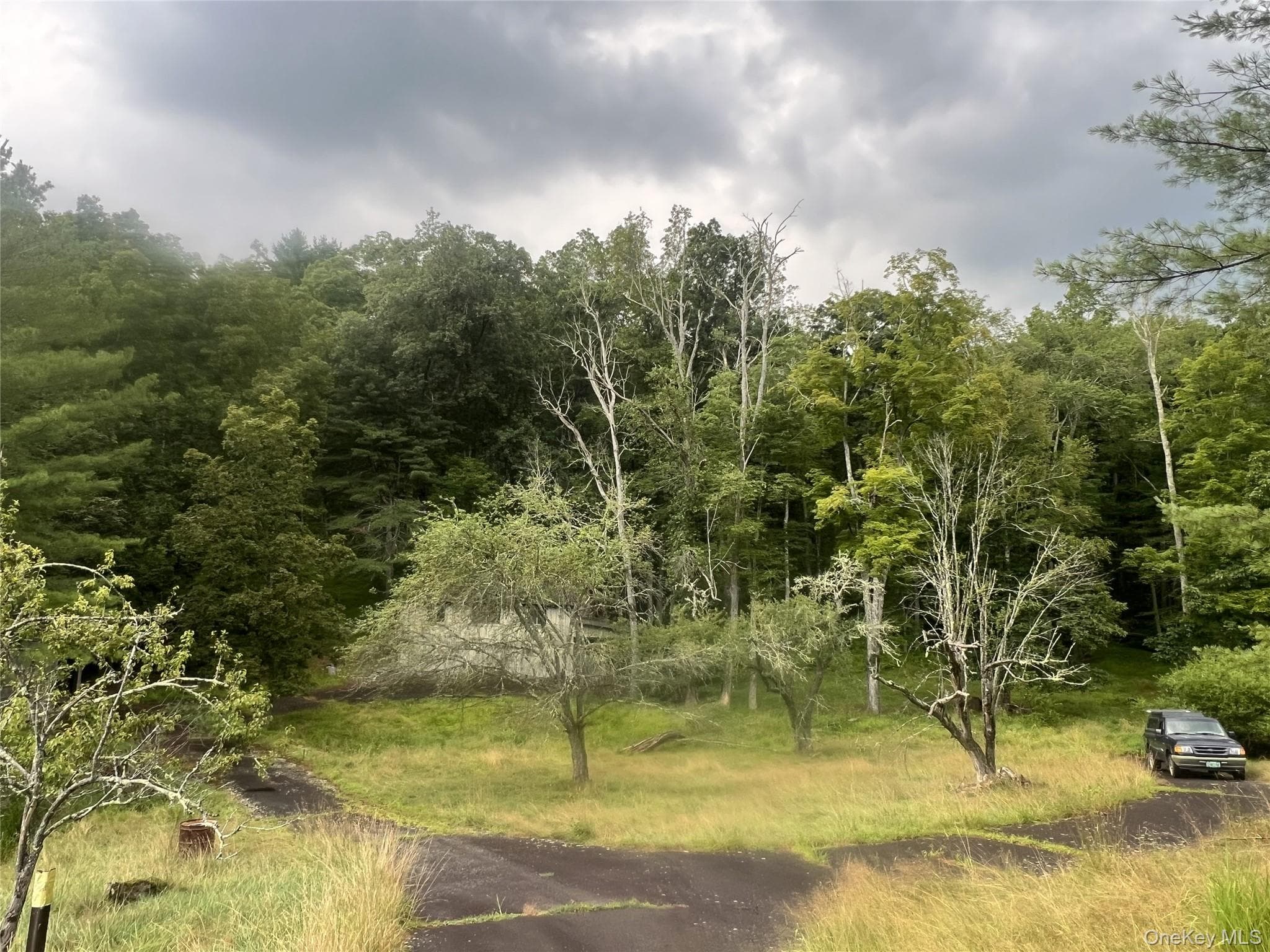 259 Lackawaxen Road thumbnail 19