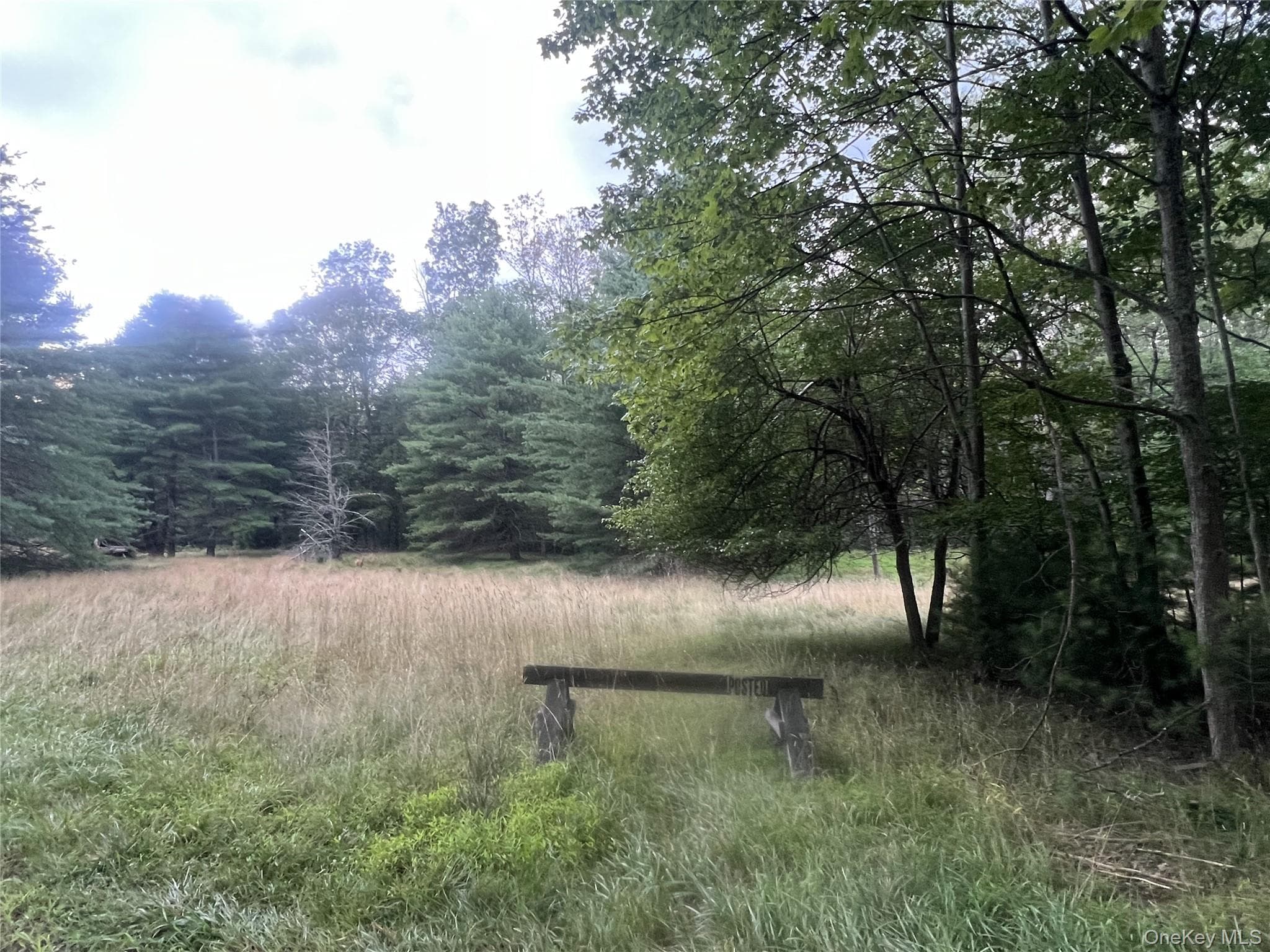 259 Lackawaxen Road thumbnail 30