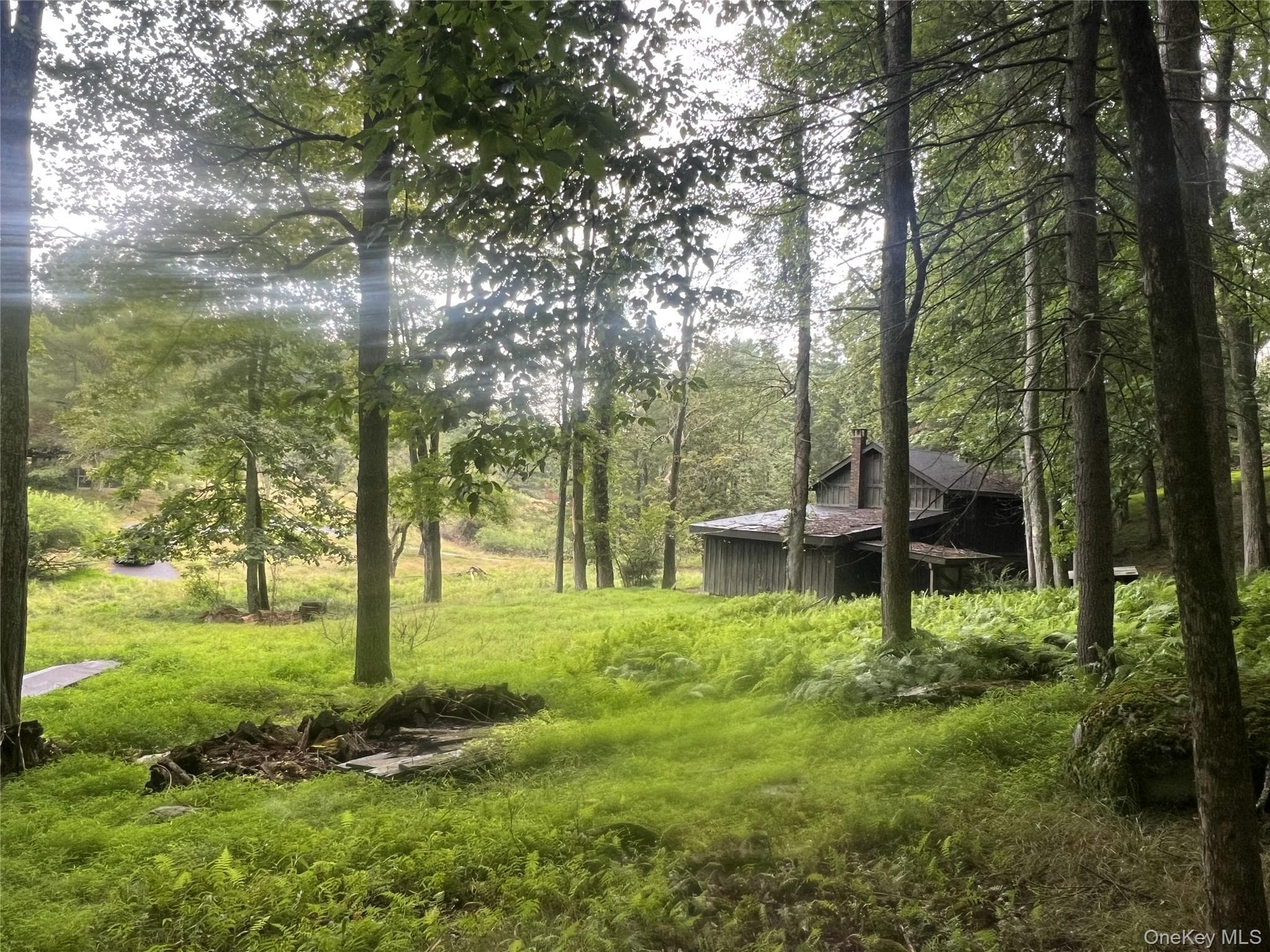 259 Lackawaxen Road thumbnail 27