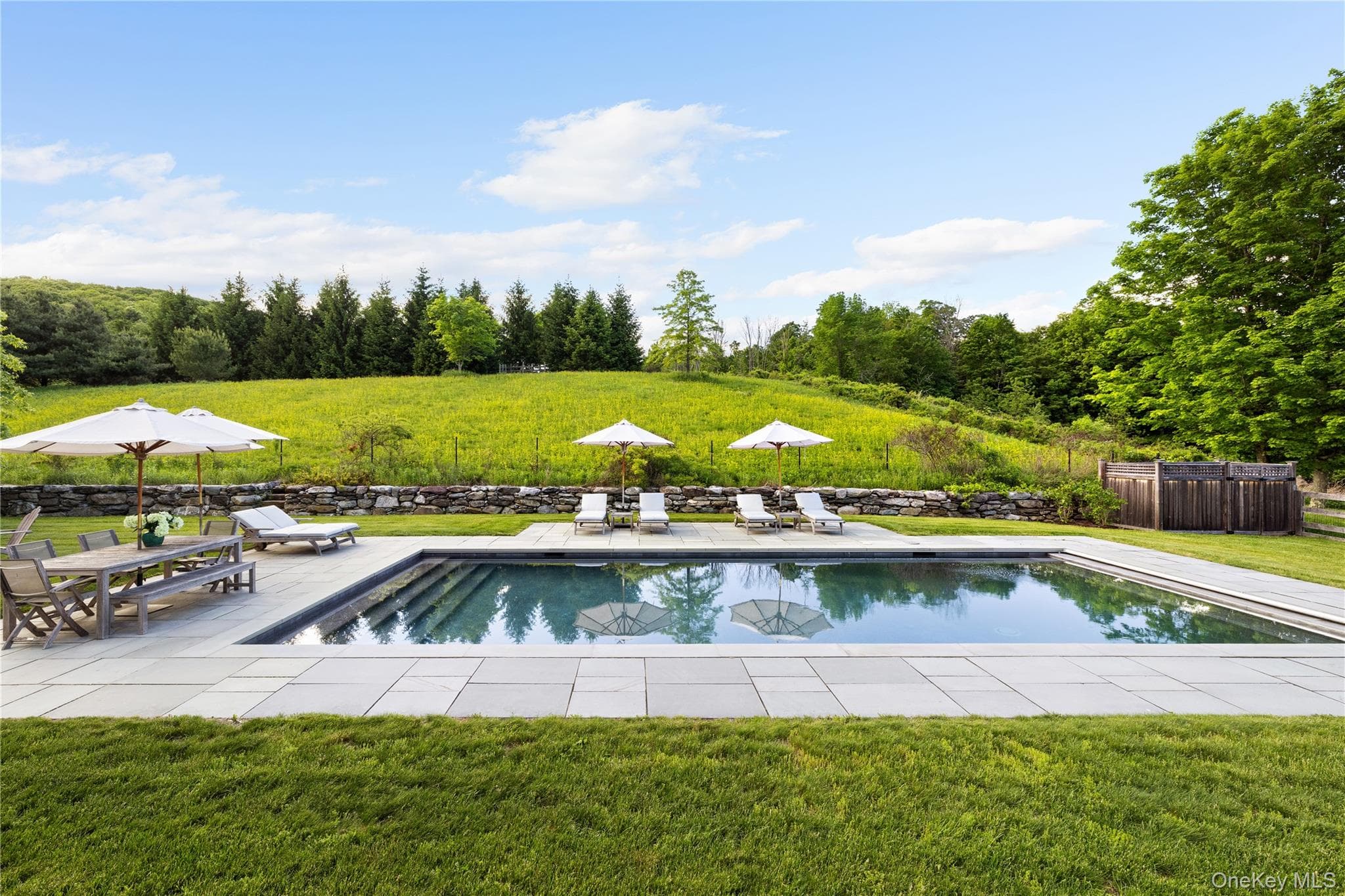 335 Dawson Road thumbnail 25