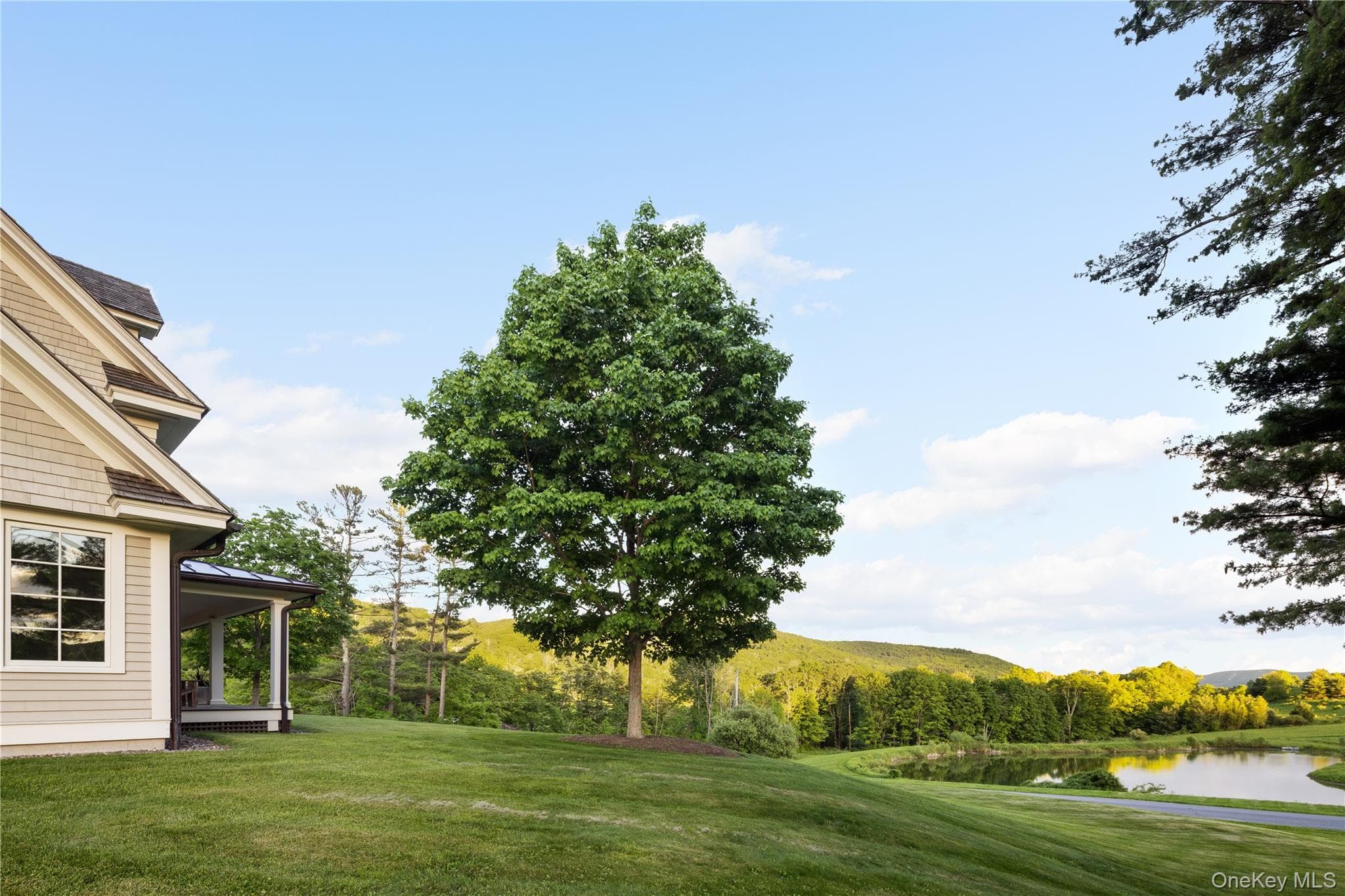 335 Dawson Road thumbnail 36
