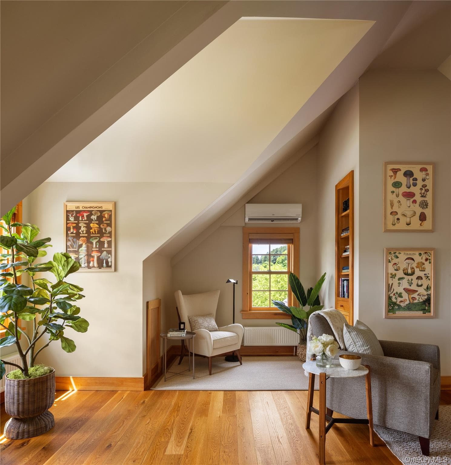 335 Dawson Road thumbnail 32