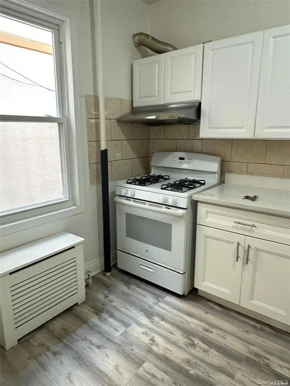 3138 103rd Street Unit: 2ND FL thumbnail 8
