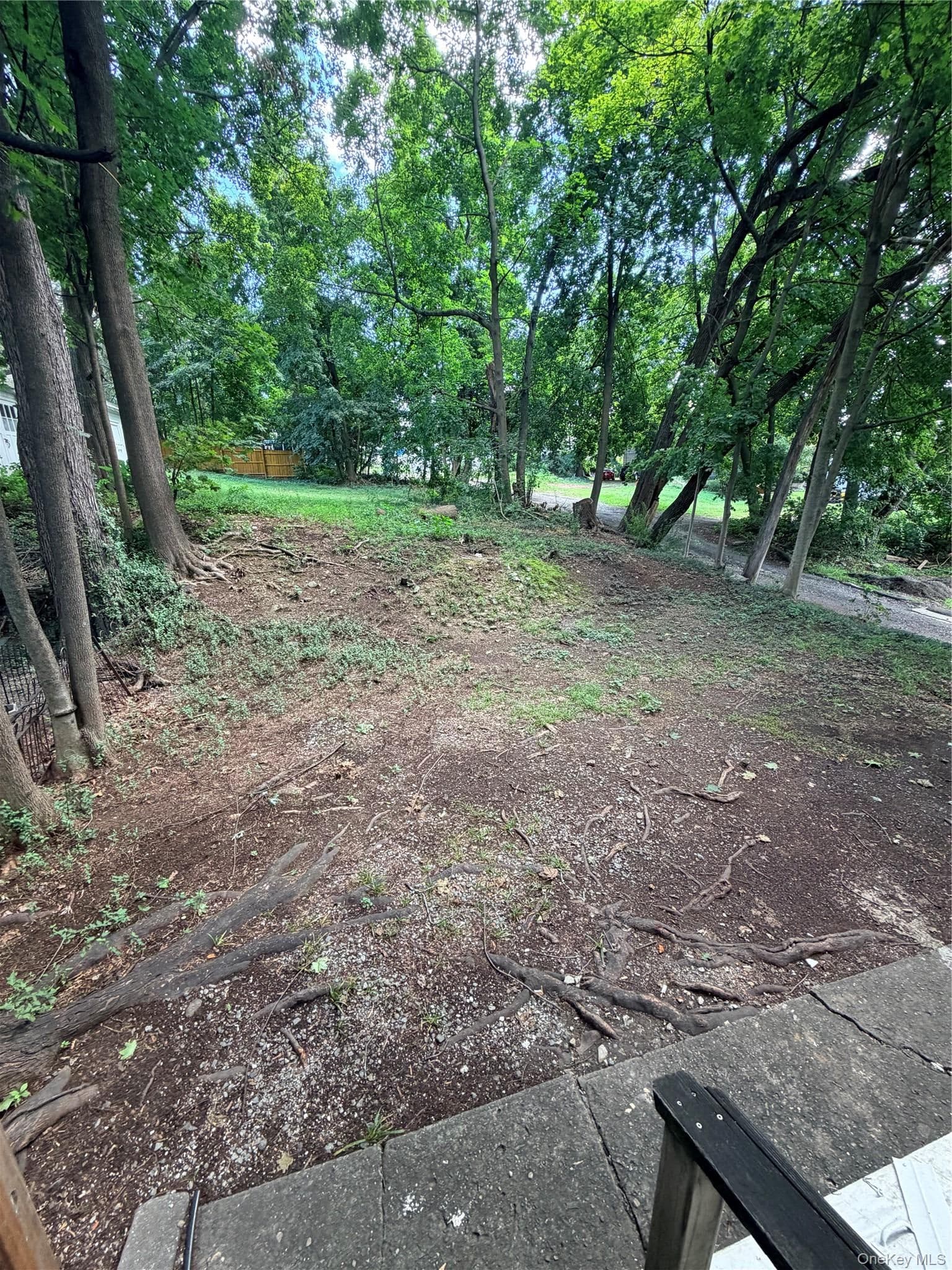 20 Bush Avenue thumbnail 26