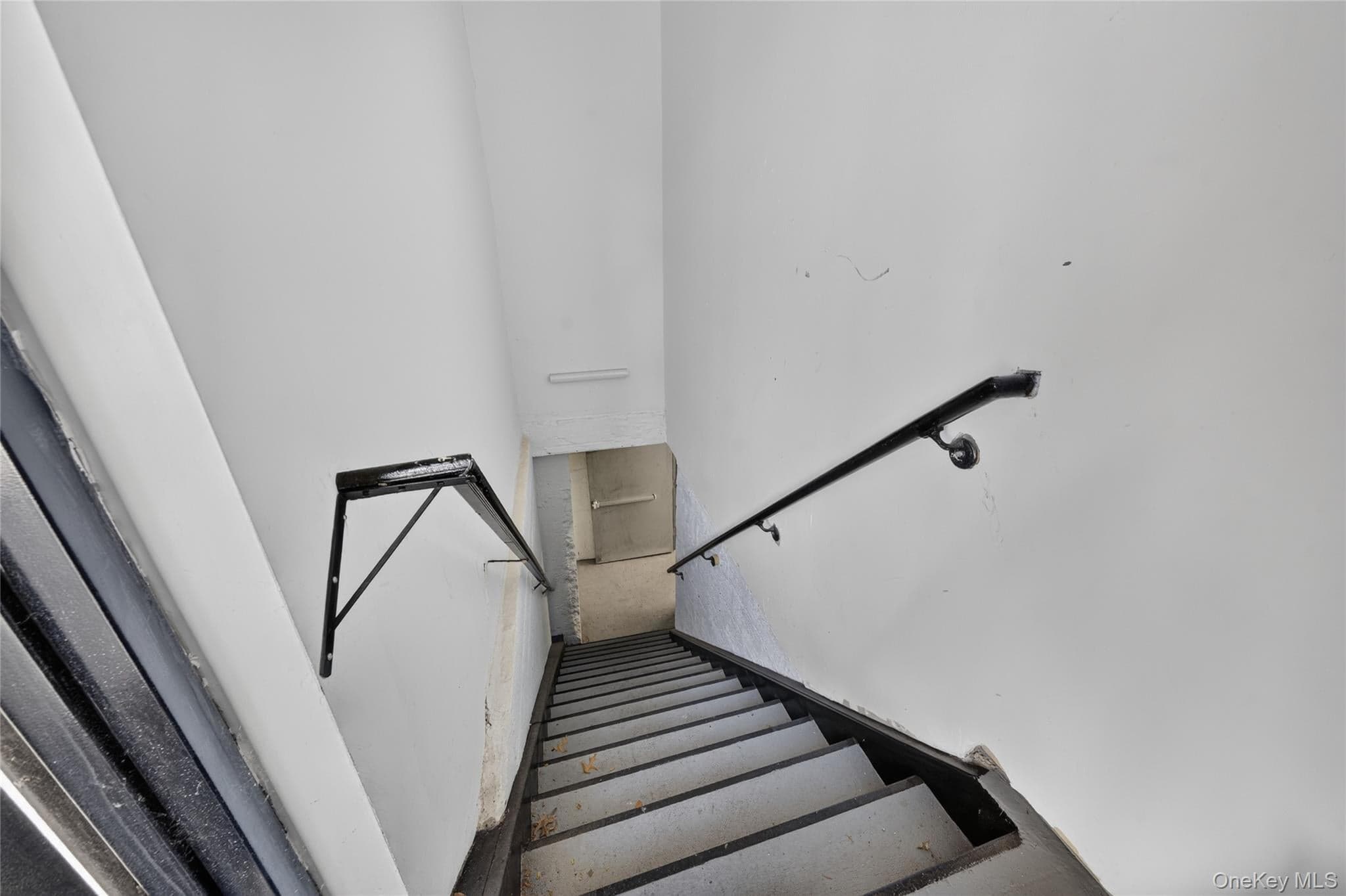 281 Clinton Street thumbnail 30