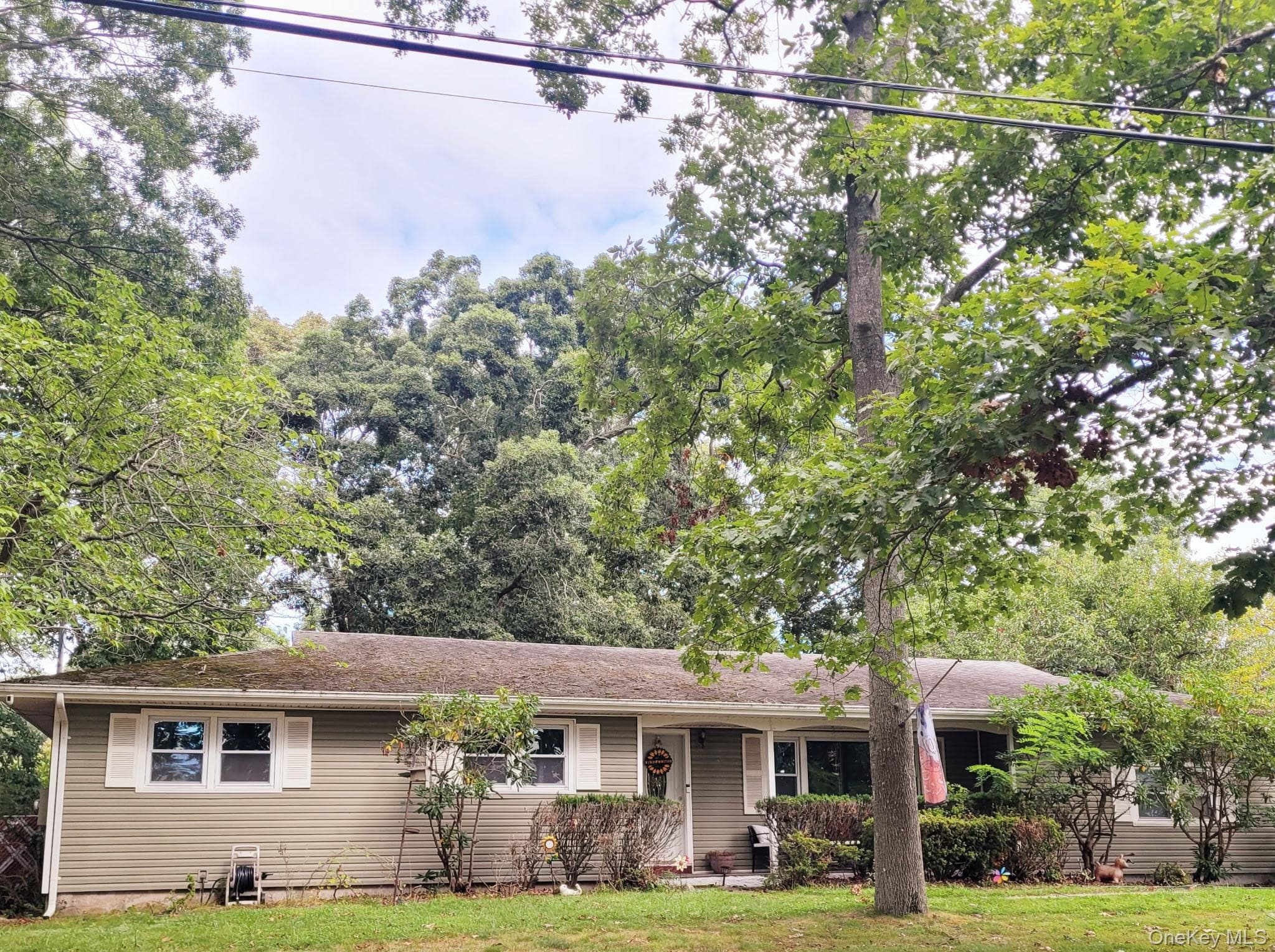 149 Otis Road thumbnail 2