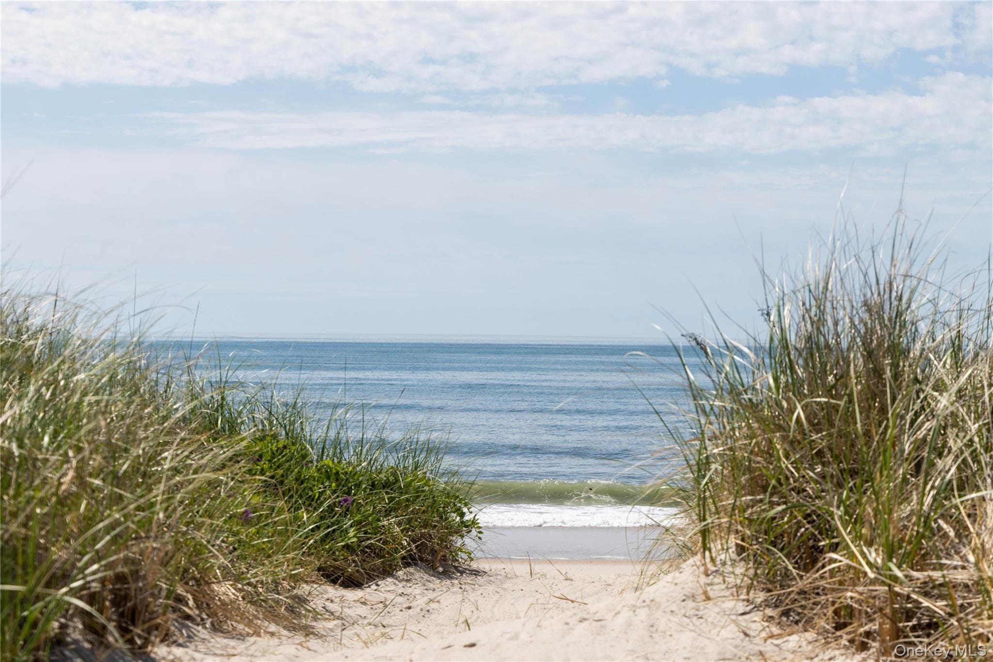 373 Dune Road thumbnail 23