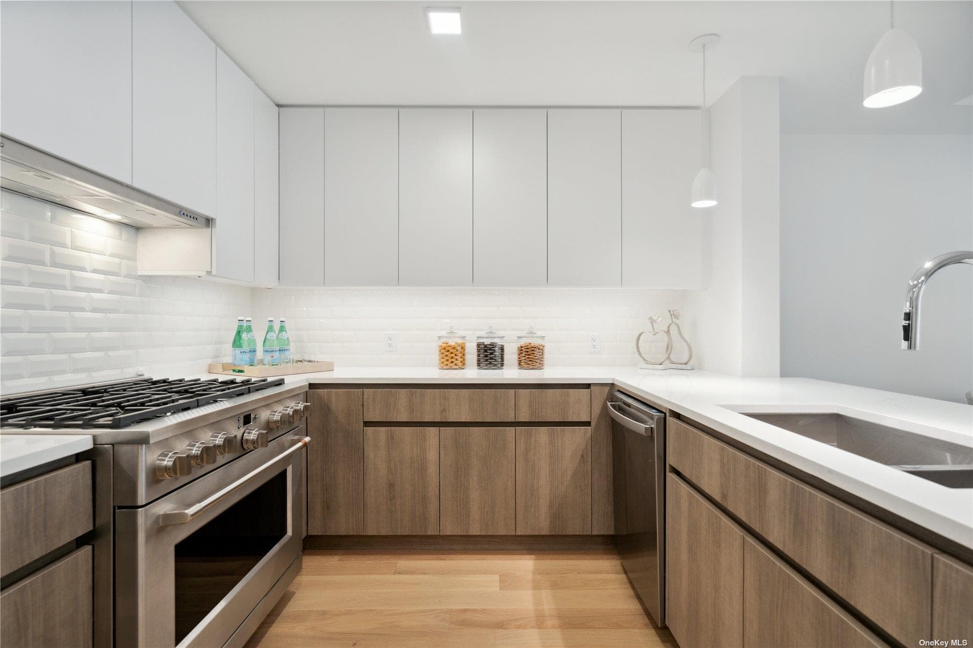 218 Middle Neck Road Unit: 110 thumbnail 18