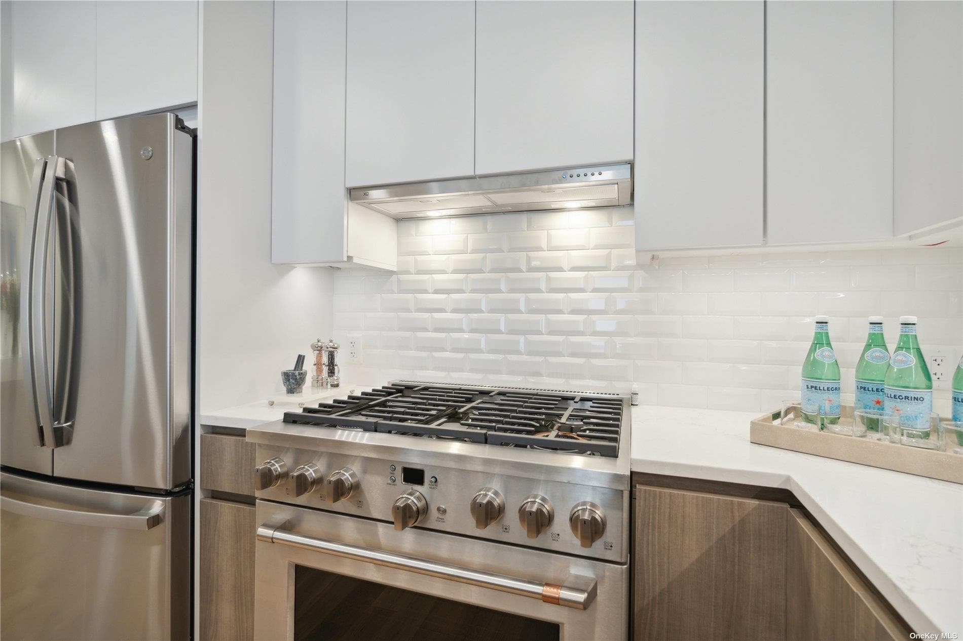 218 Middle Neck Road Unit: 110 thumbnail 19