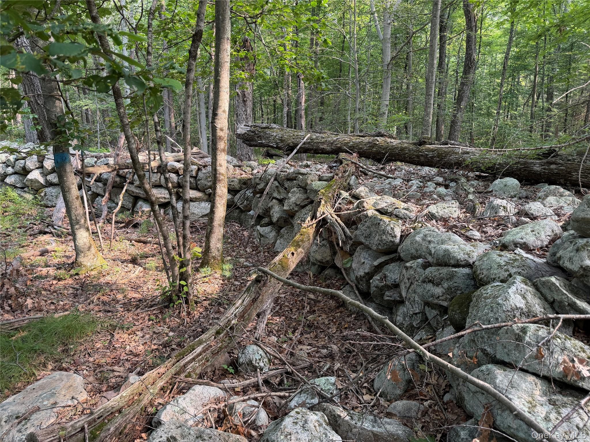 148 Quannacut Road thumbnail 41