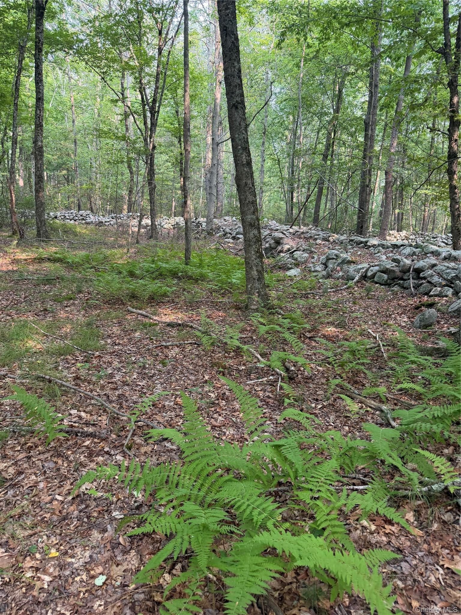 148 Quannacut Road thumbnail 42