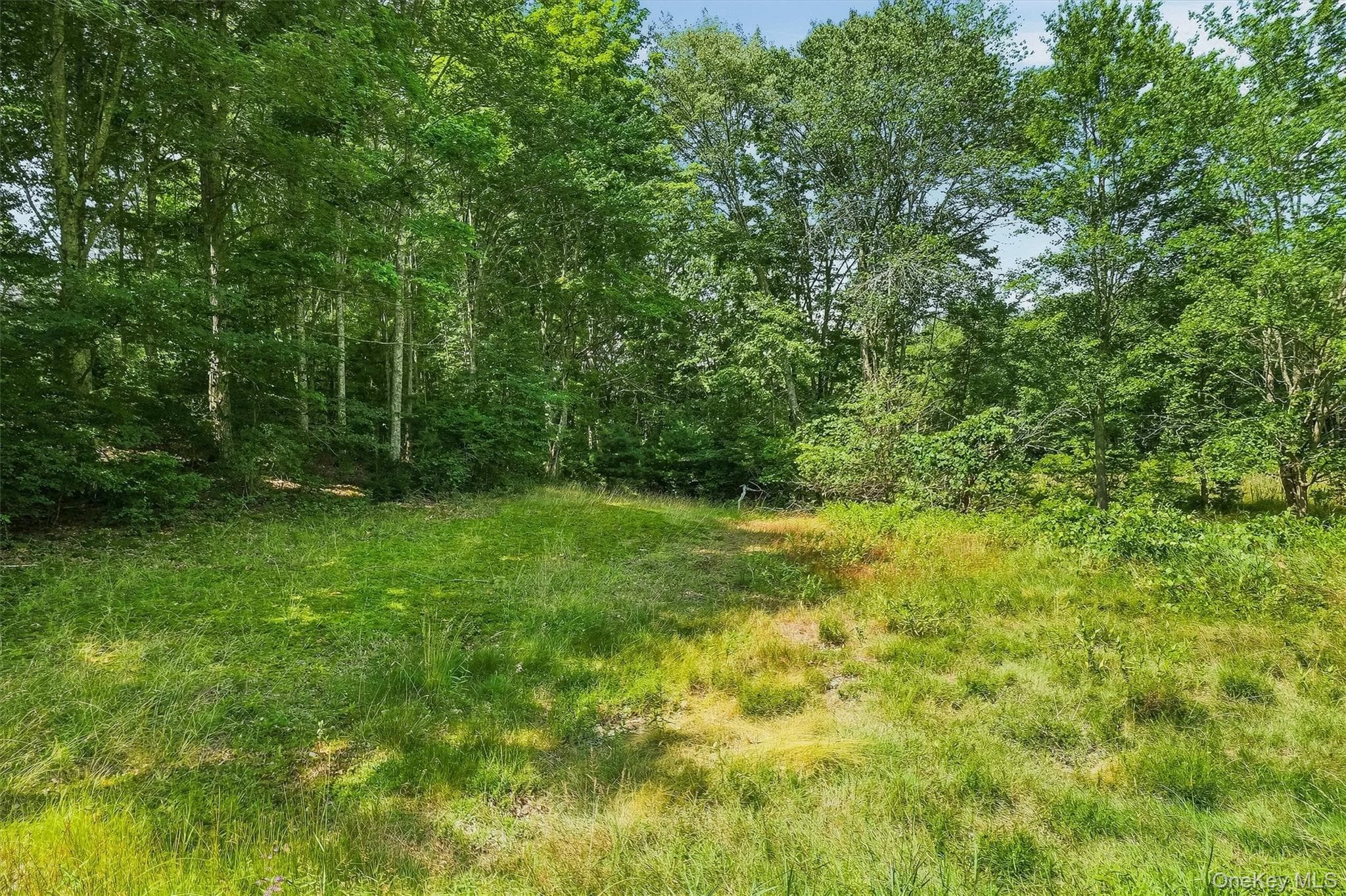 148 Quannacut Road thumbnail 22