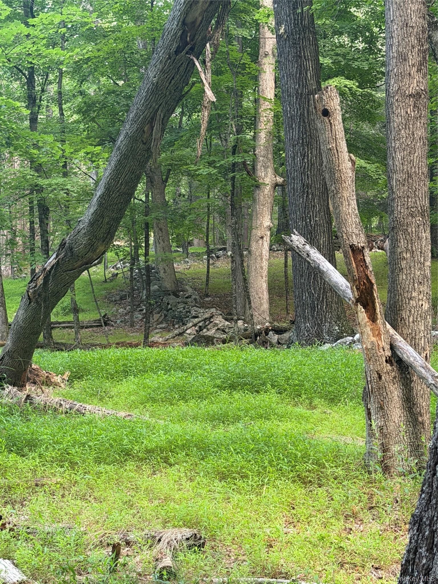148 Quannacut Road thumbnail 38