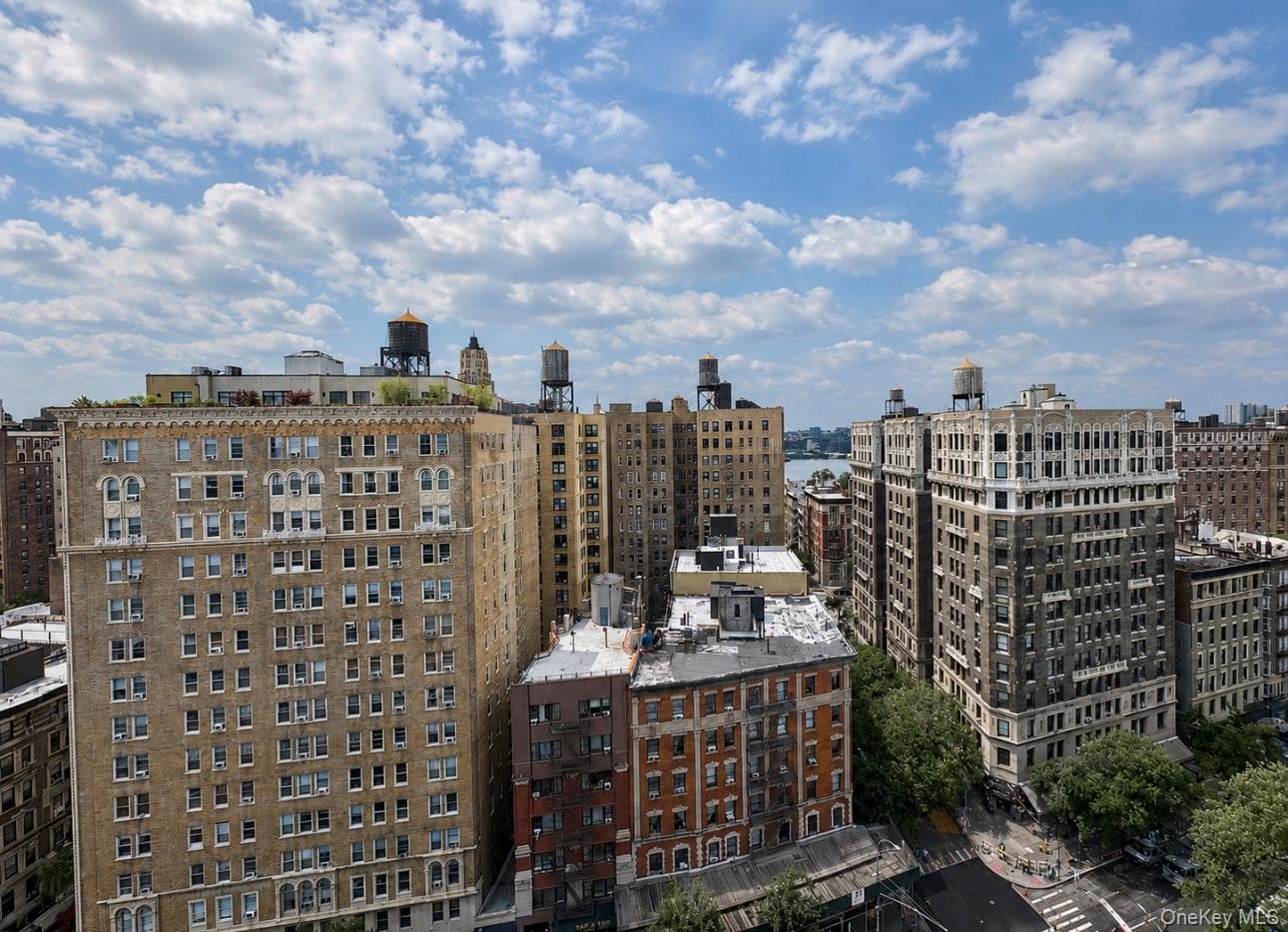230 W 105th Street Unit: 14G thumbnail 8