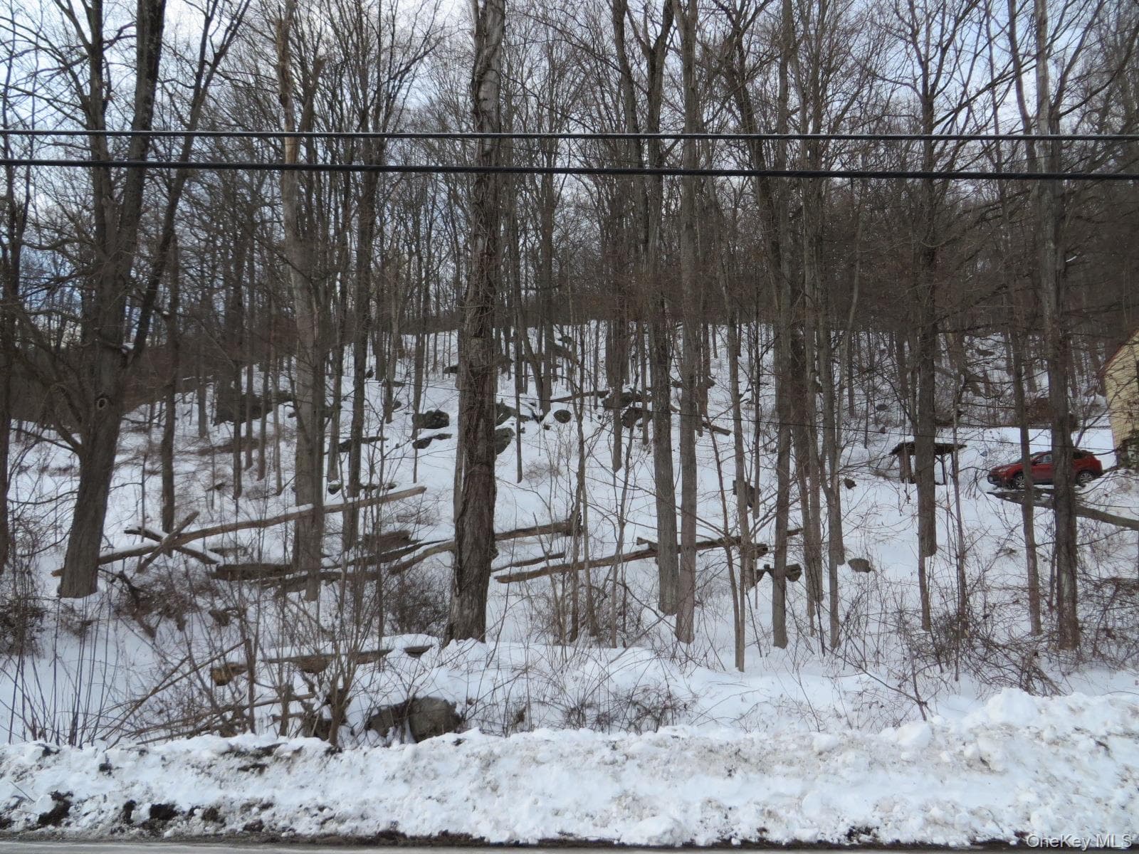 477 Sprout Brook Road thumbnail 5