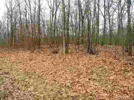 618 Bean River Road thumbnail 3