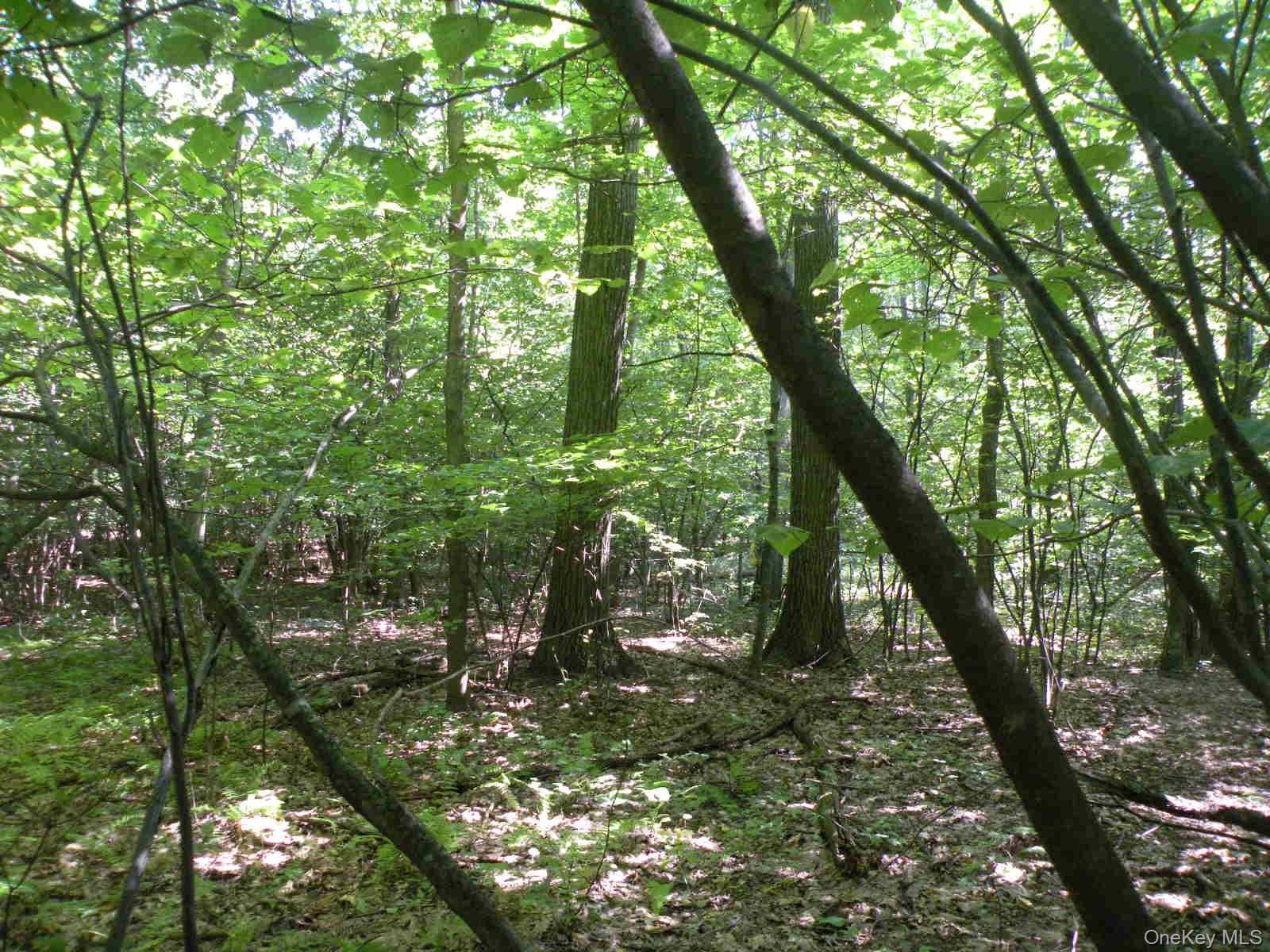 618 Bean River Road thumbnail 25