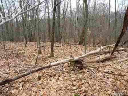 618 Bean River Road thumbnail 27