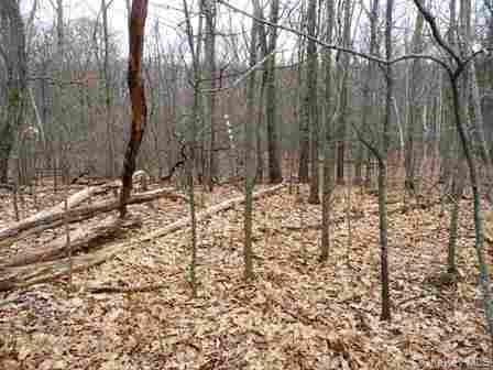 618 Bean River Road thumbnail 28