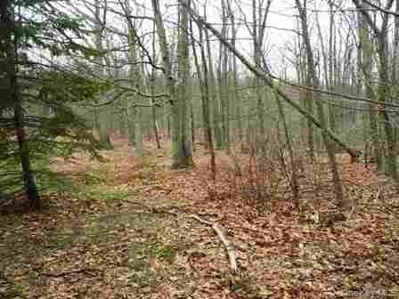 618 Bean River Road thumbnail 21