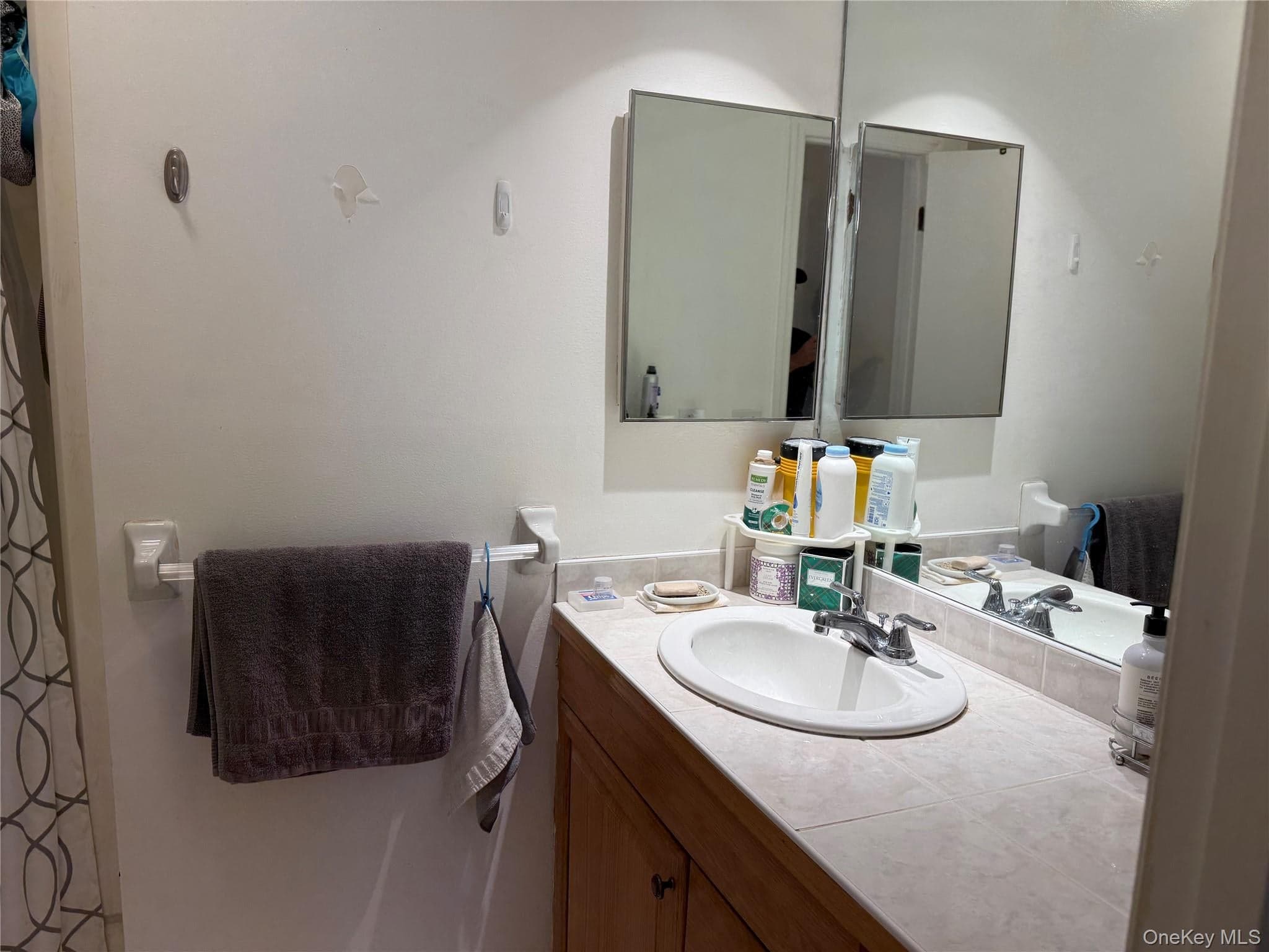 1408 Eagle Bay Drive thumbnail 14
