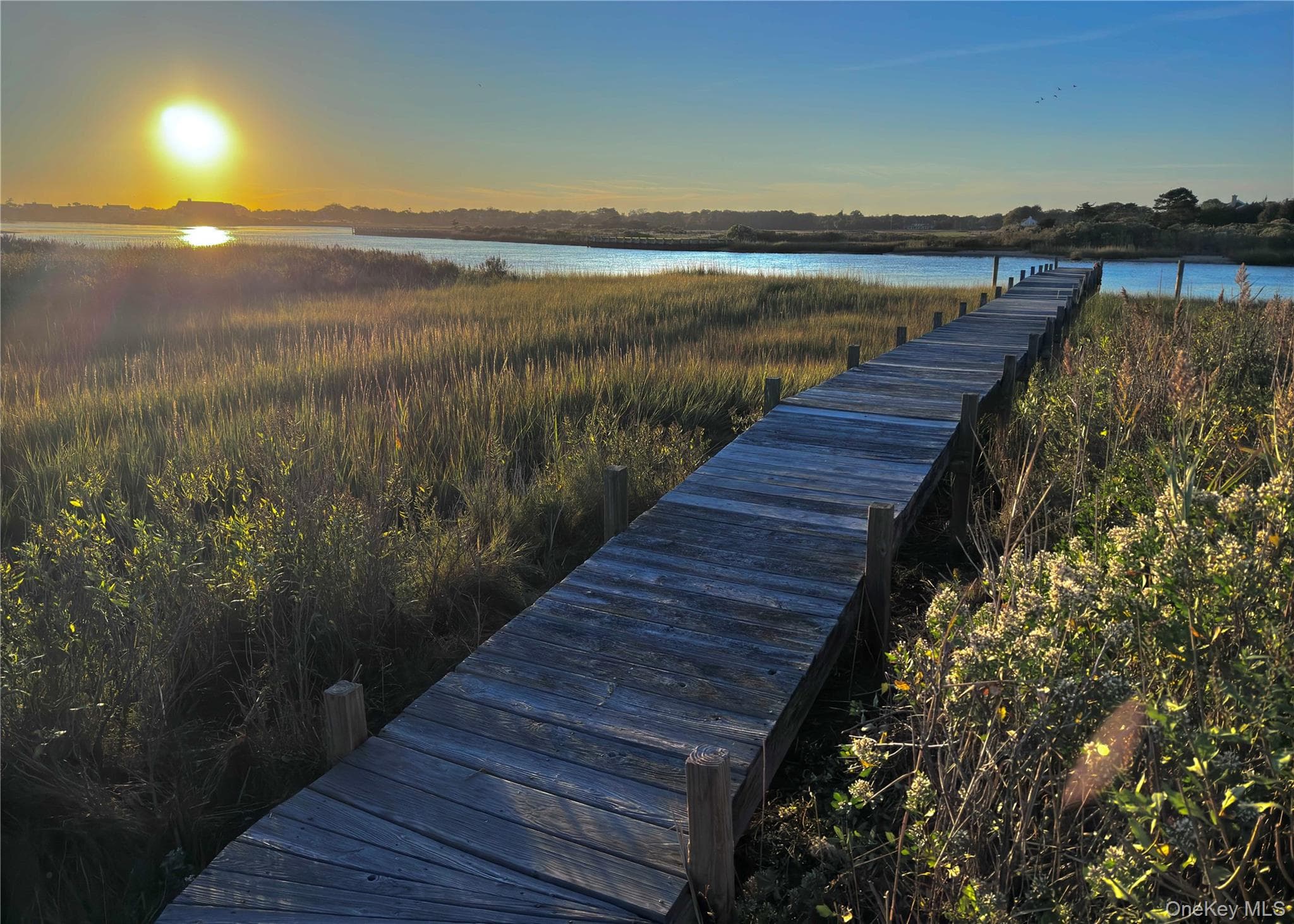 162 Dune Road thumbnail 23